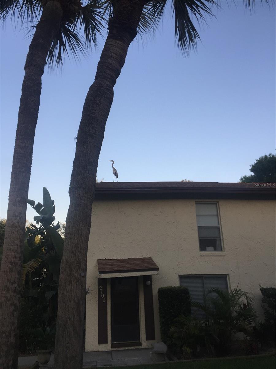 501 EAST BAY DR. #2003, LARGO, FL, 33770