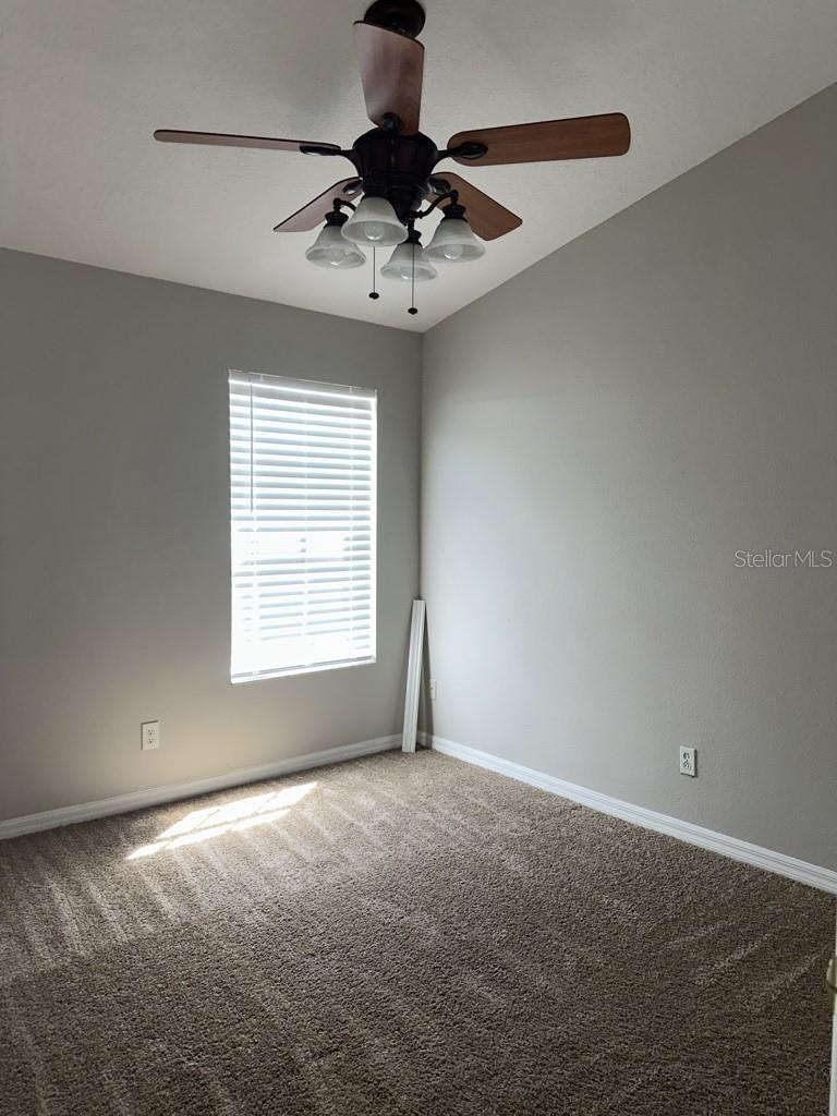 3447 SANTA RITA LN, LAND O LAKES, FL, 34639