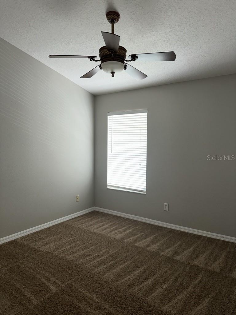 3447 SANTA RITA LN, LAND O LAKES, FL, 34639