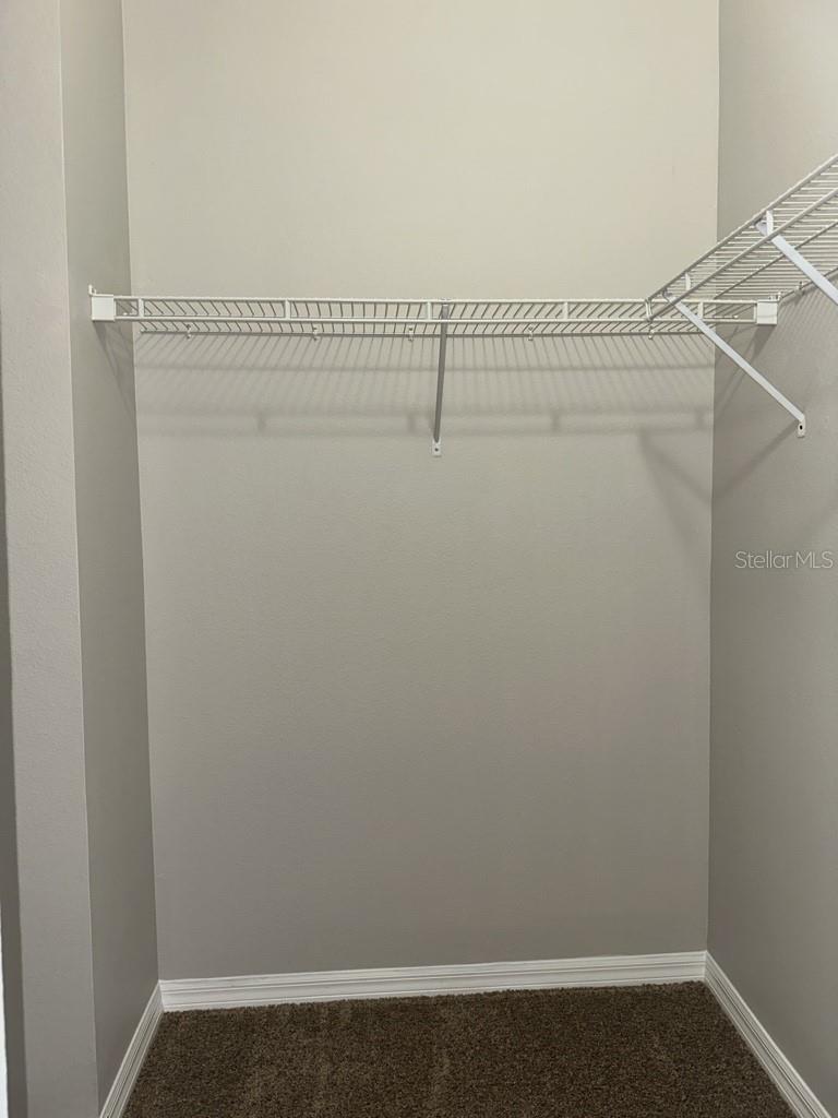 3447 SANTA RITA LN, LAND O LAKES, FL, 34639