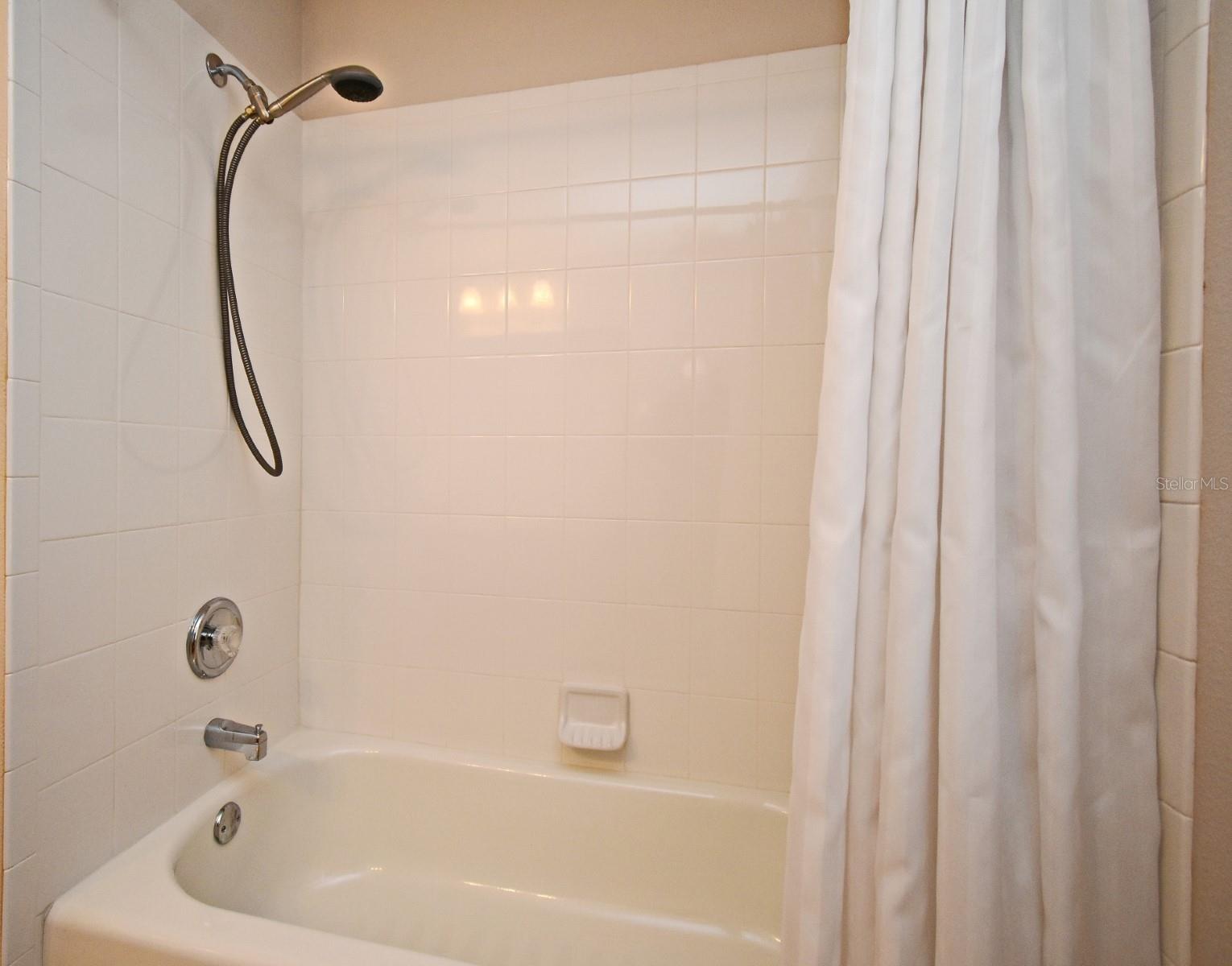 238 PALMETTO SPRINGS ST, DEBARY, FL, 32713