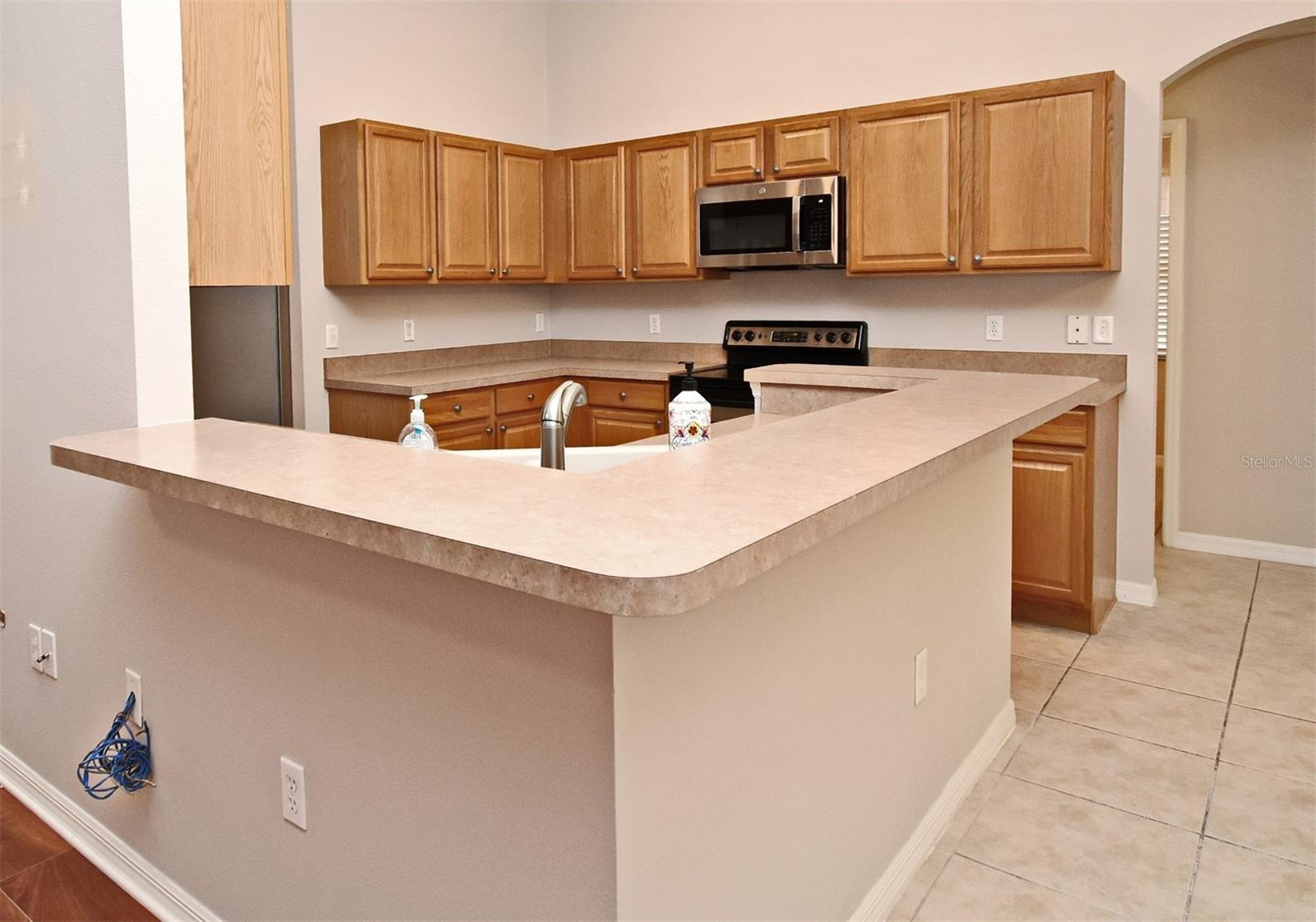 238 PALMETTO SPRINGS ST, DEBARY, FL, 32713