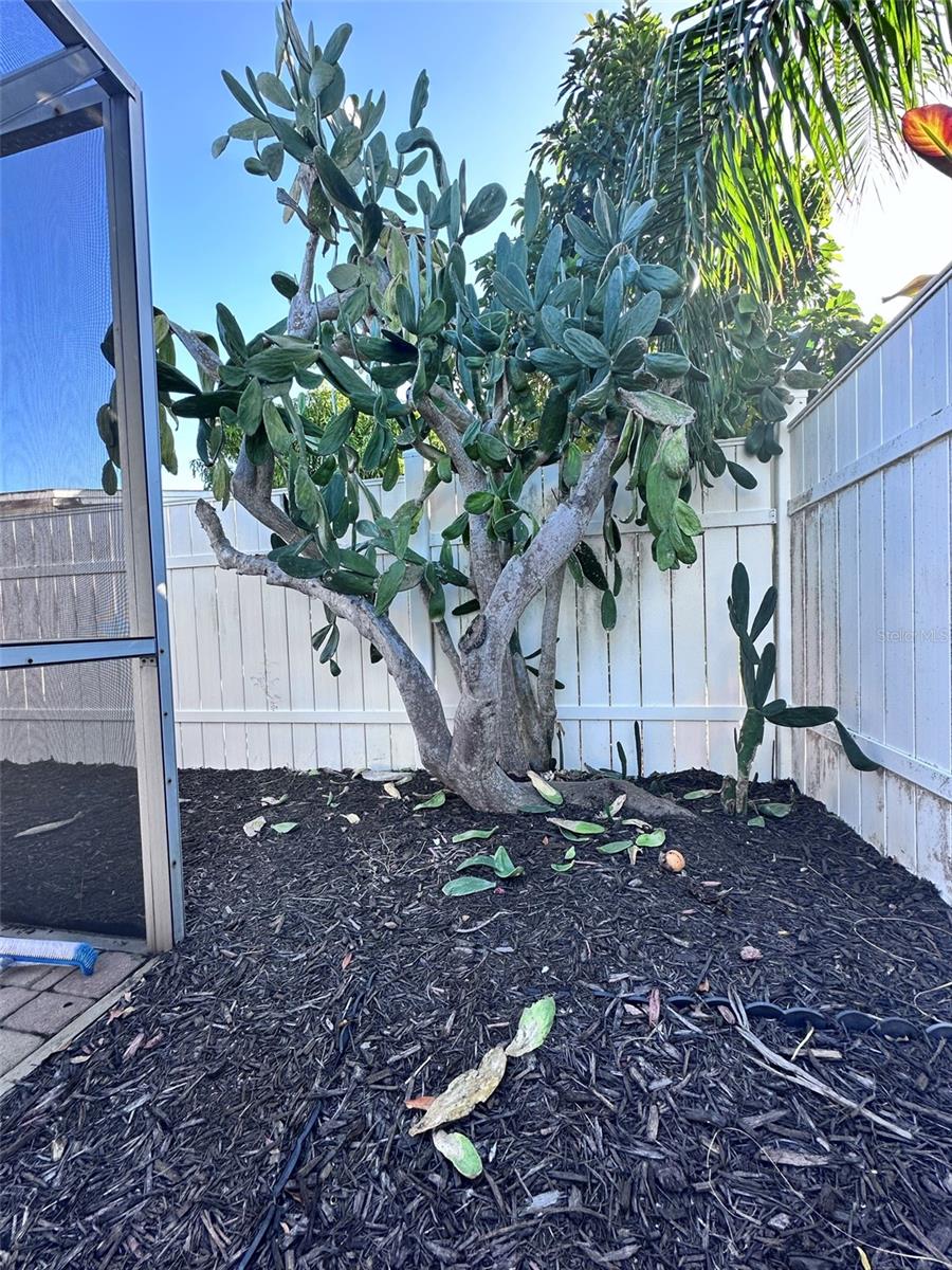 7114 PARROT DR, PORT RICHEY, FL, 34668