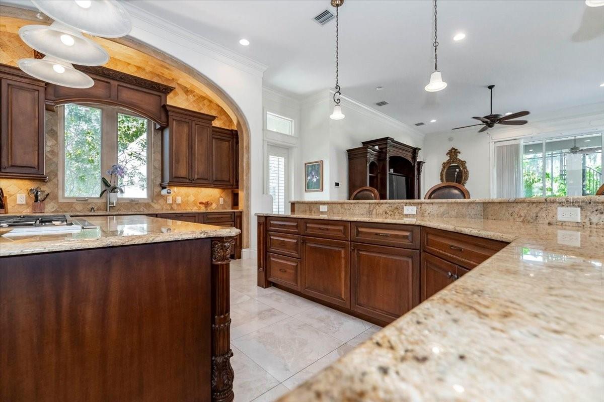 460 CANTERWOOD DR, MULBERRY, FL, 33860