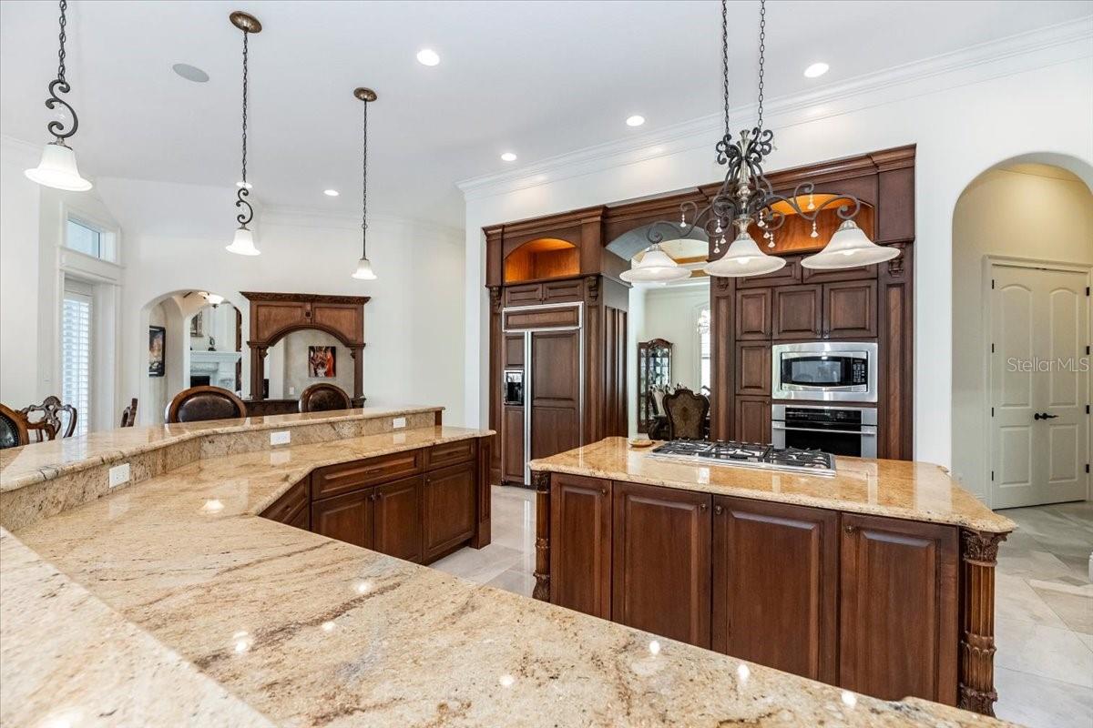 460 CANTERWOOD DR, MULBERRY, FL, 33860