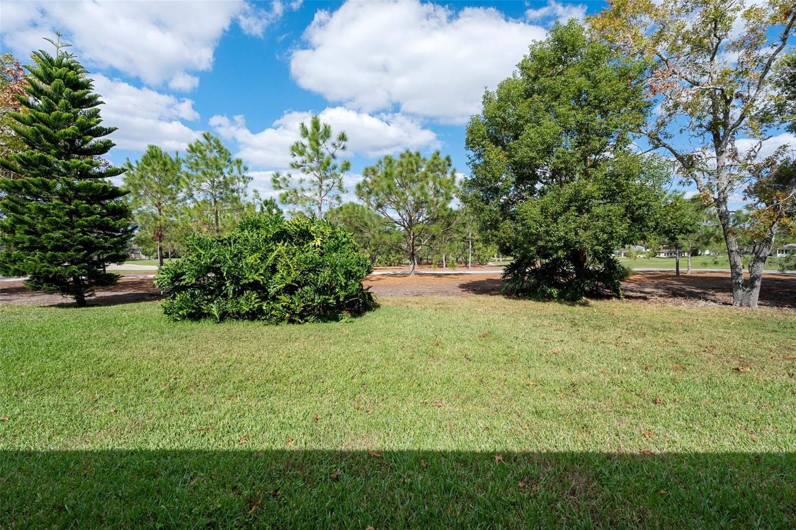 3160 WHISPERING PINES CT, SPRING HILL, FL, 34606