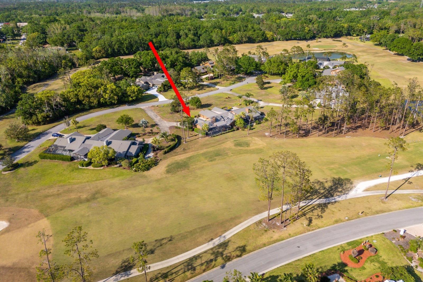 29844 BAYWOOD LN, WESLEY CHAPEL, FL, 33543