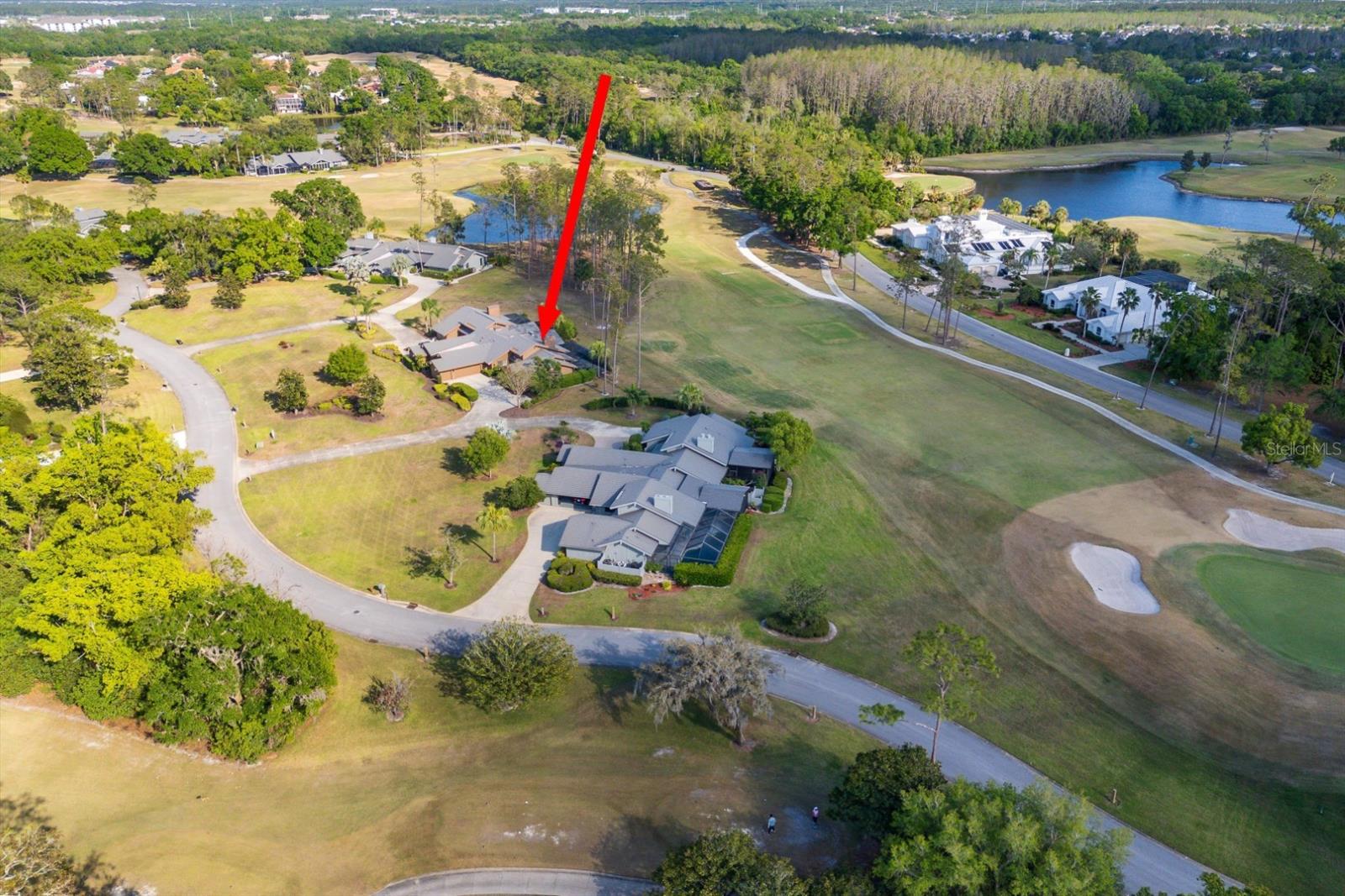 29844 BAYWOOD LN, WESLEY CHAPEL, FL, 33543