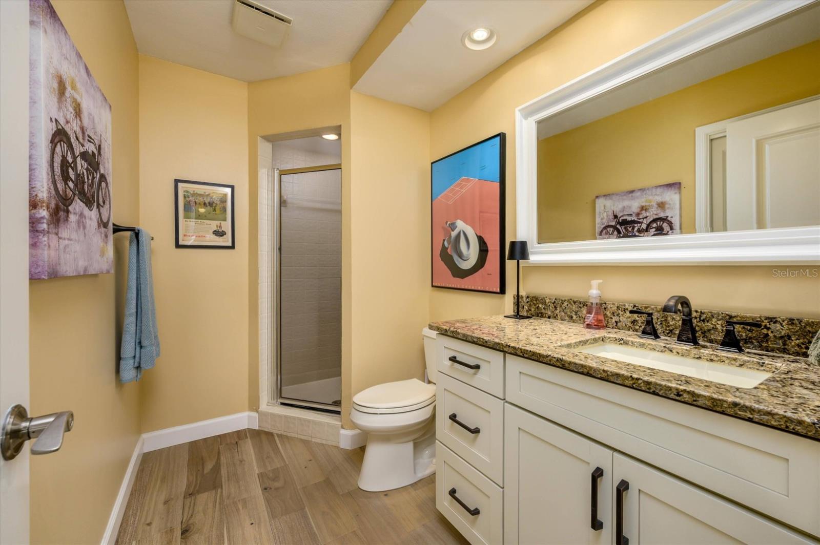 29844 BAYWOOD LN, WESLEY CHAPEL, FL, 33543