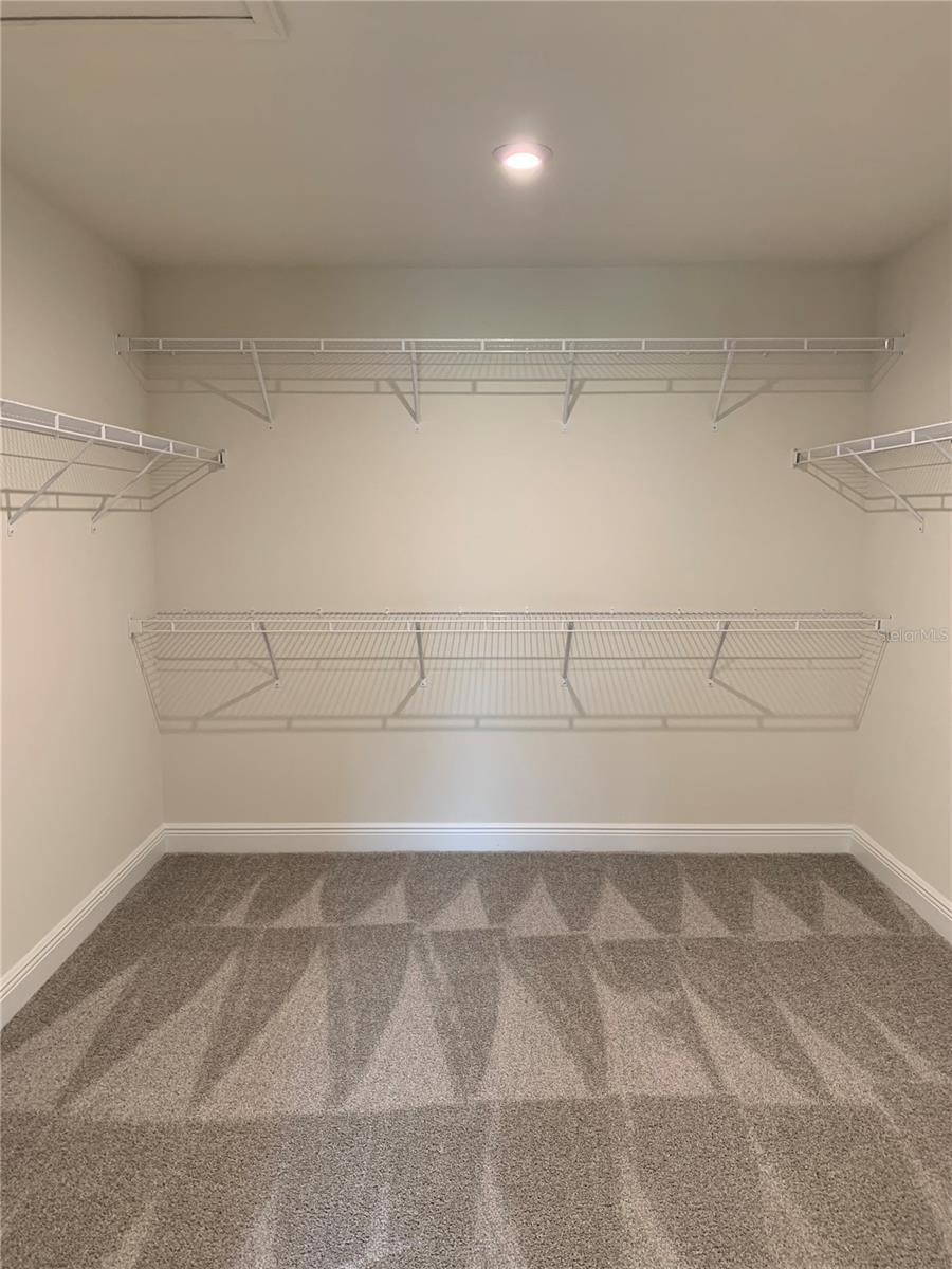 5735 GRAND SONATA AVE, LUTZ, FL, 33558
