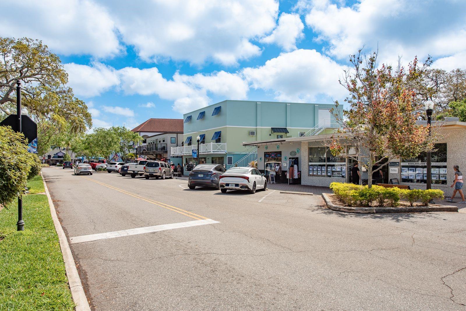 333 ACROPOLIS DR, DUNEDIN, FL, 34698