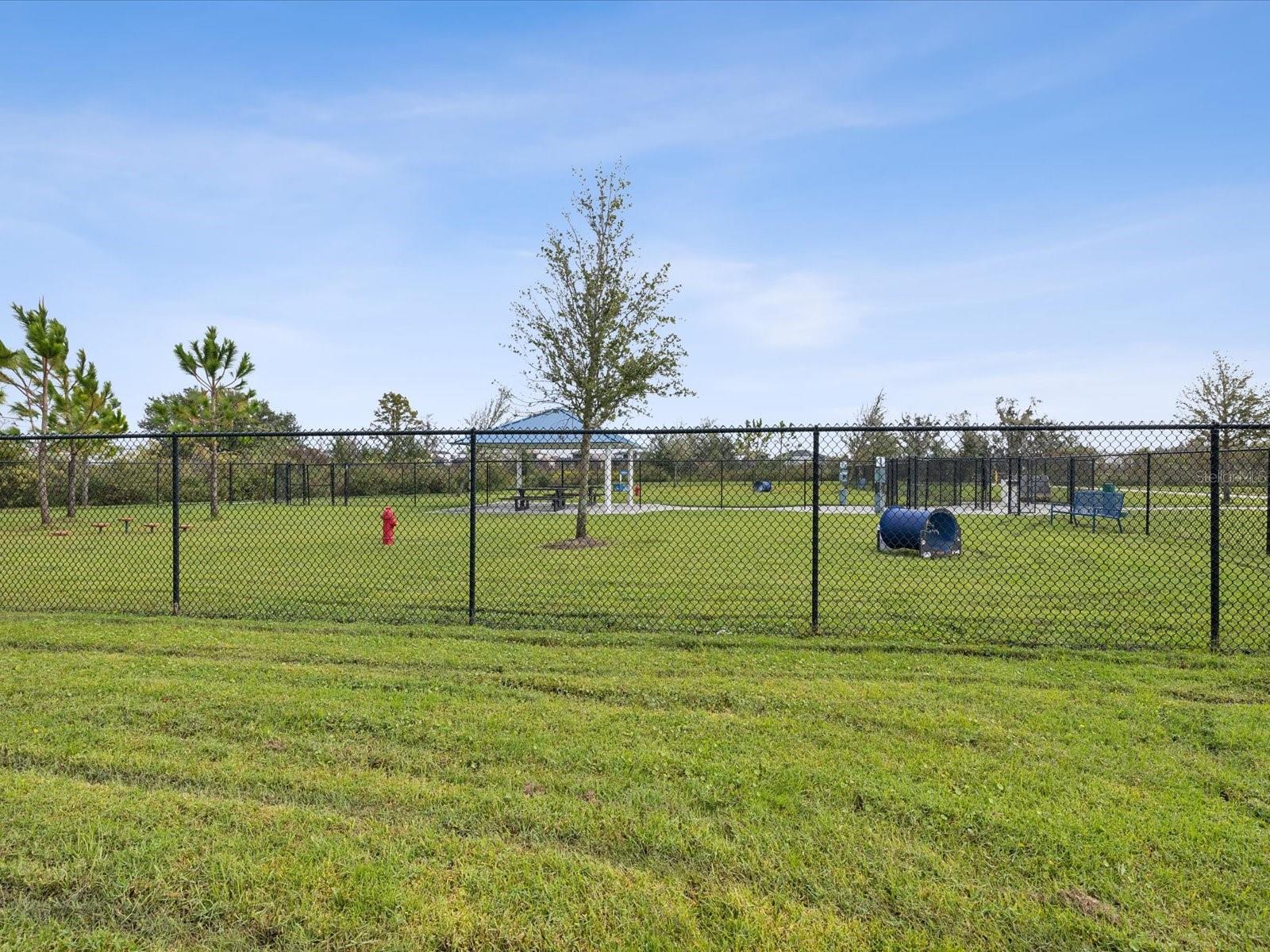 30839 PENNY SURF LOOP, WESLEY CHAPEL, FL, 33545