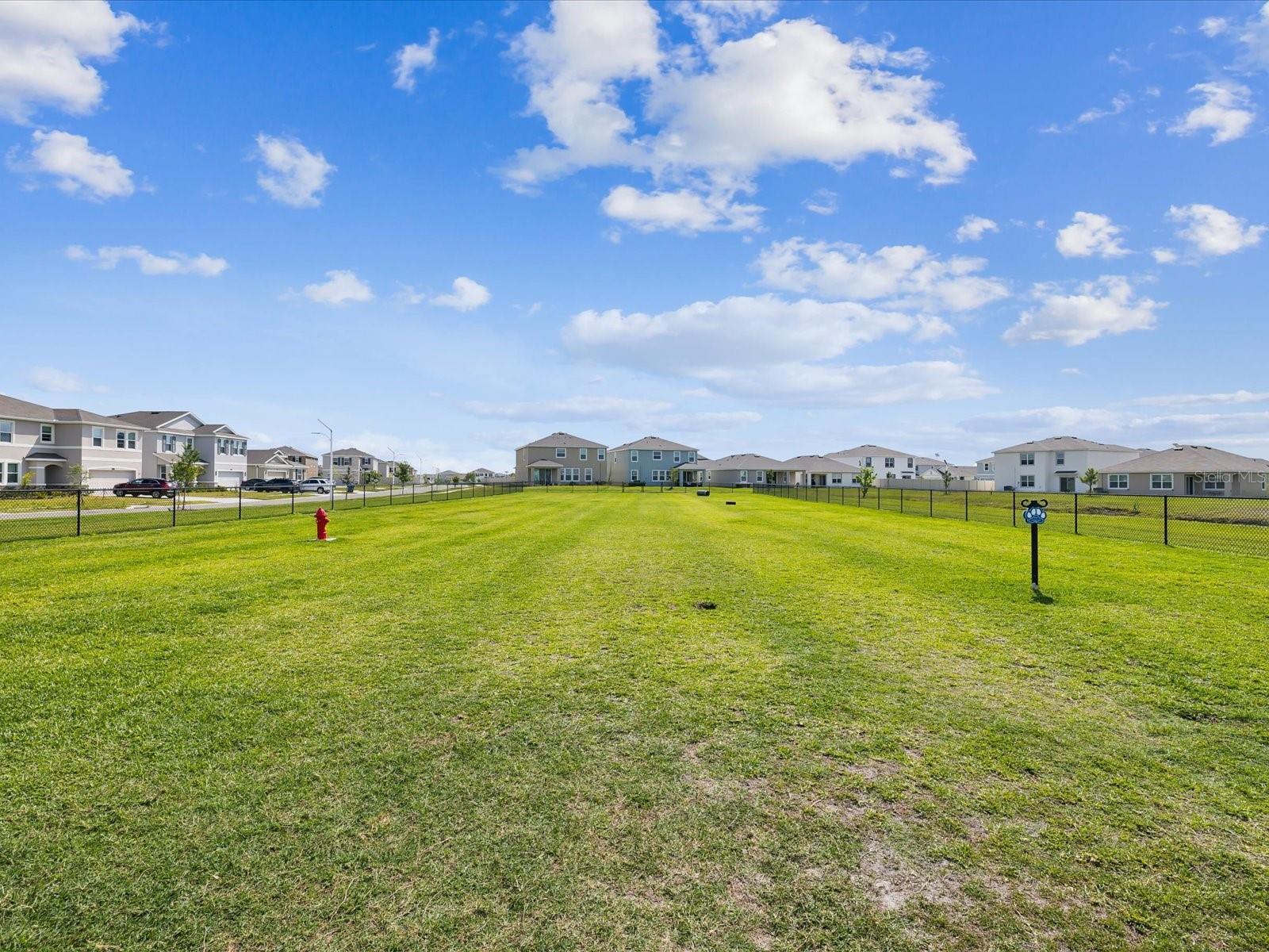 30839 PENNY SURF LOOP, WESLEY CHAPEL, FL, 33545