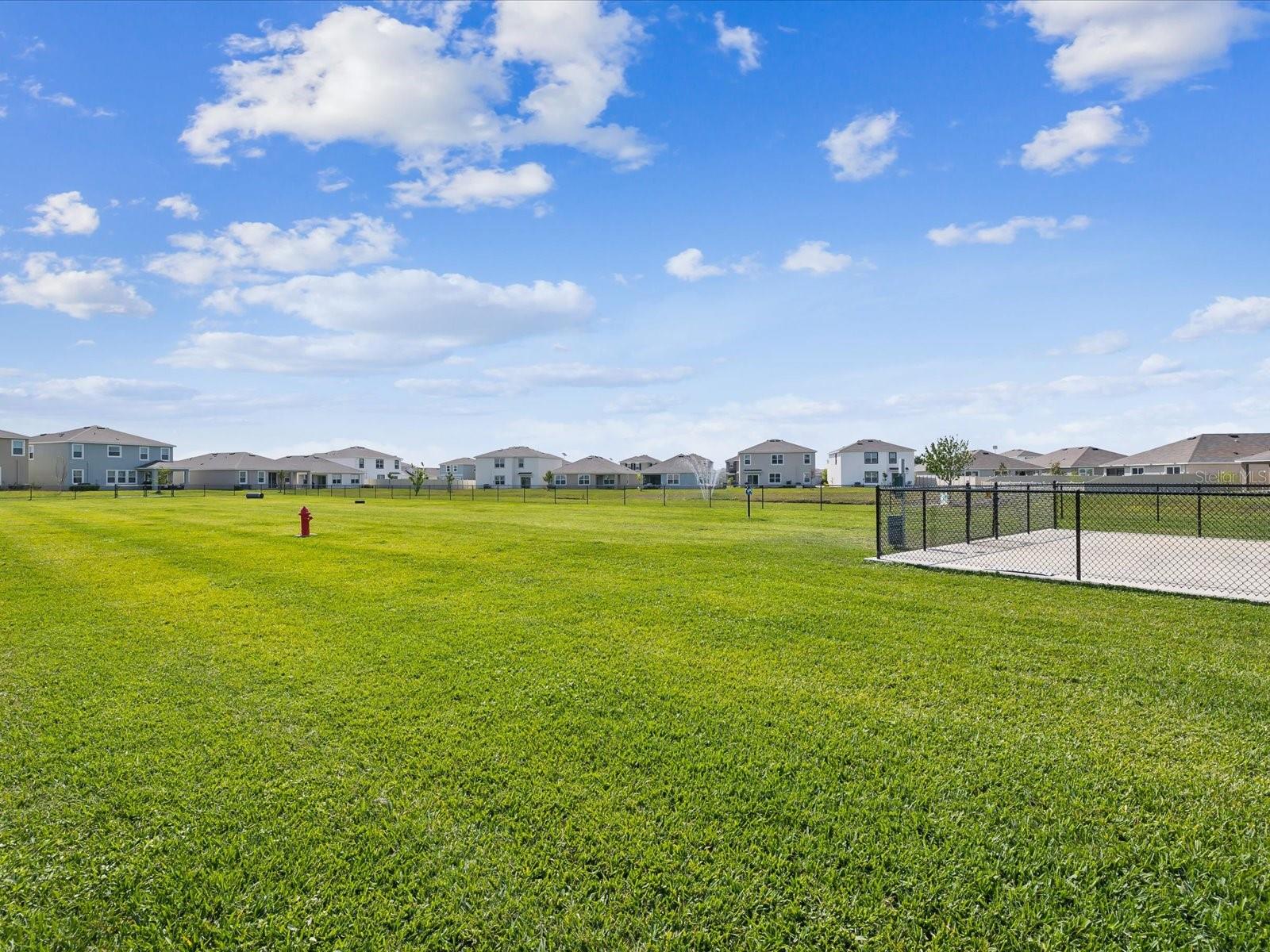 30839 PENNY SURF LOOP, WESLEY CHAPEL, FL, 33545