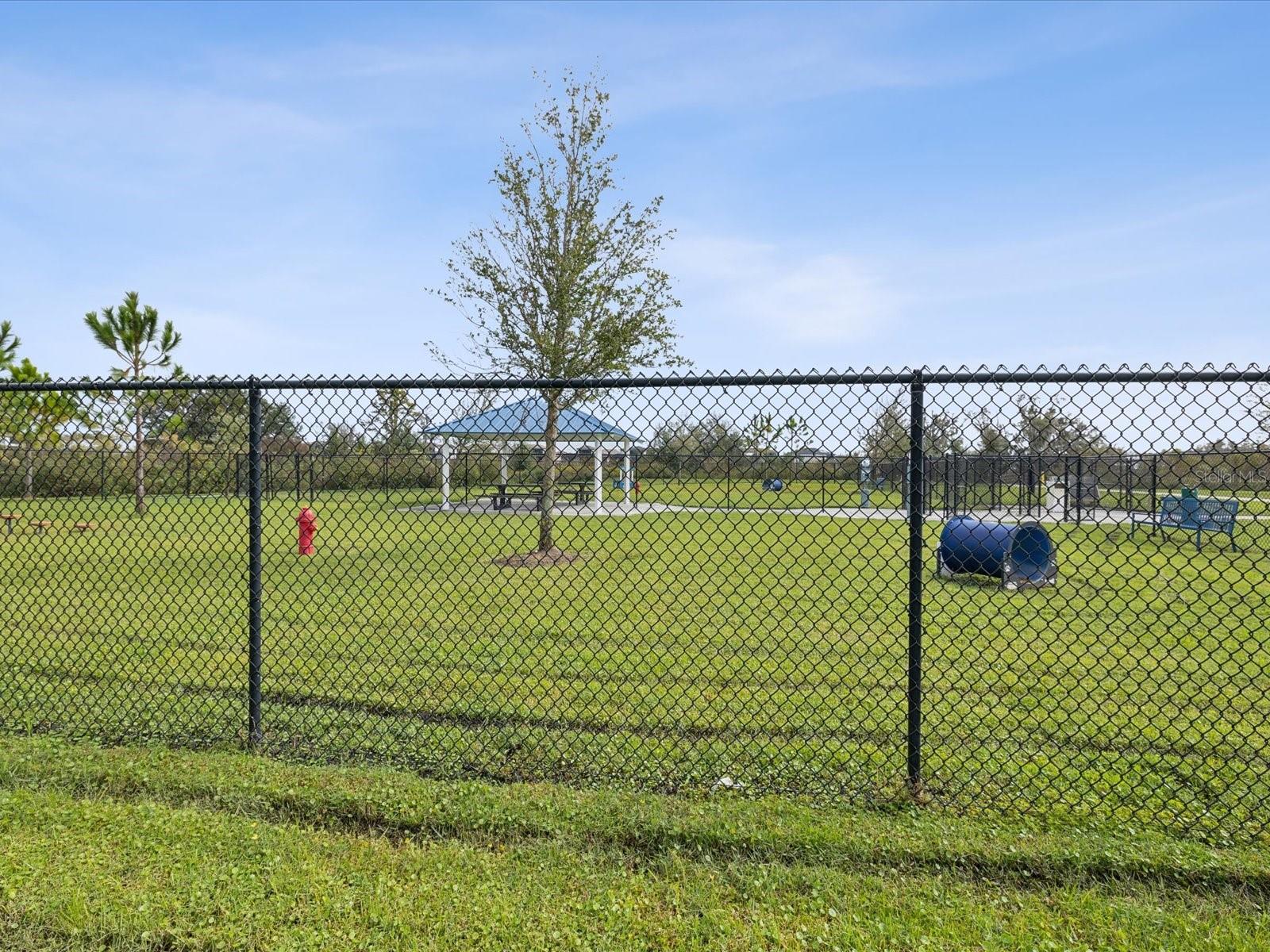 30839 PENNY SURF LOOP, WESLEY CHAPEL, FL, 33545