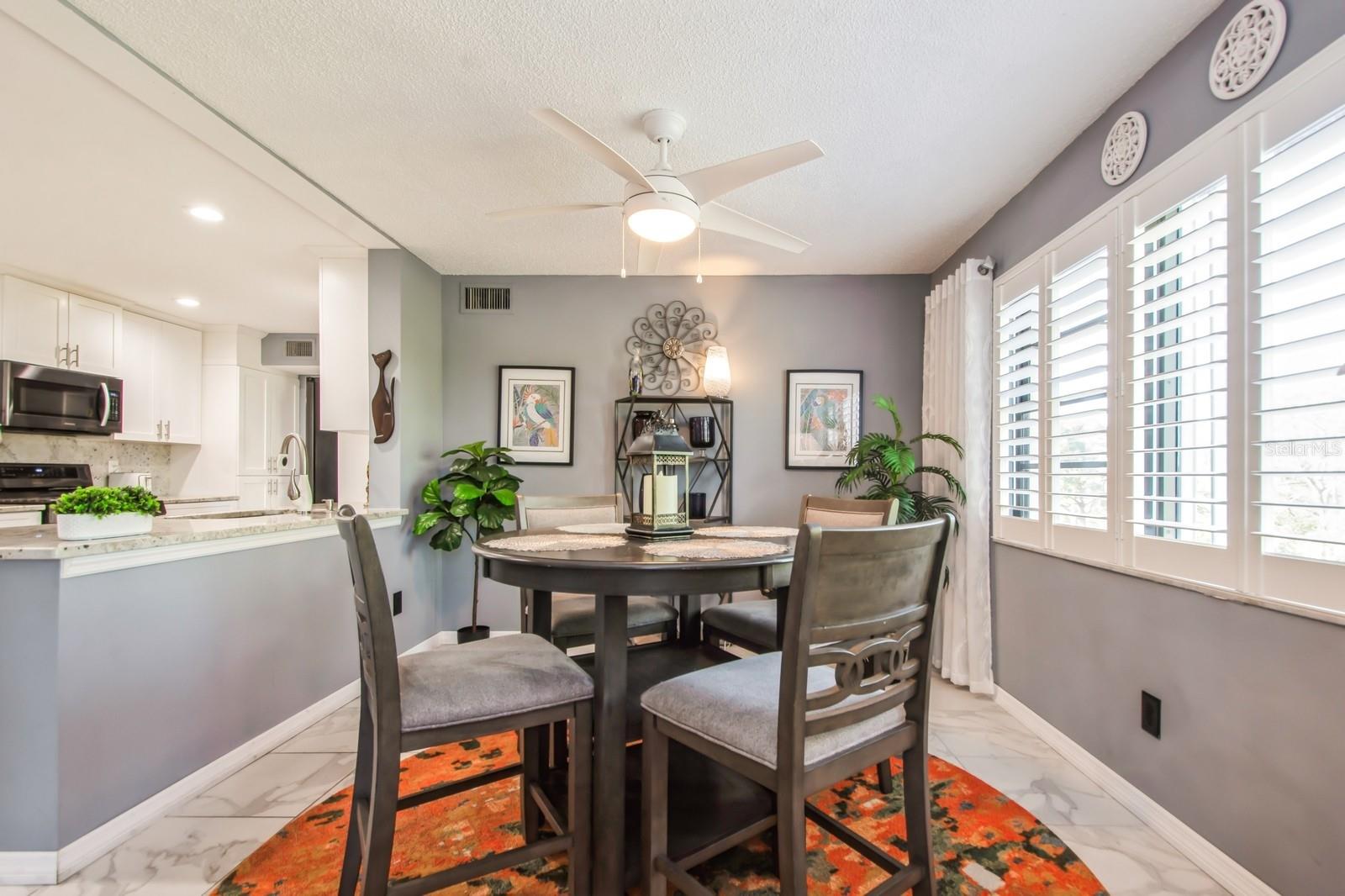 8198 TERRACE GARDEN DR N #411, ST PETERSBURG, FL, 33709