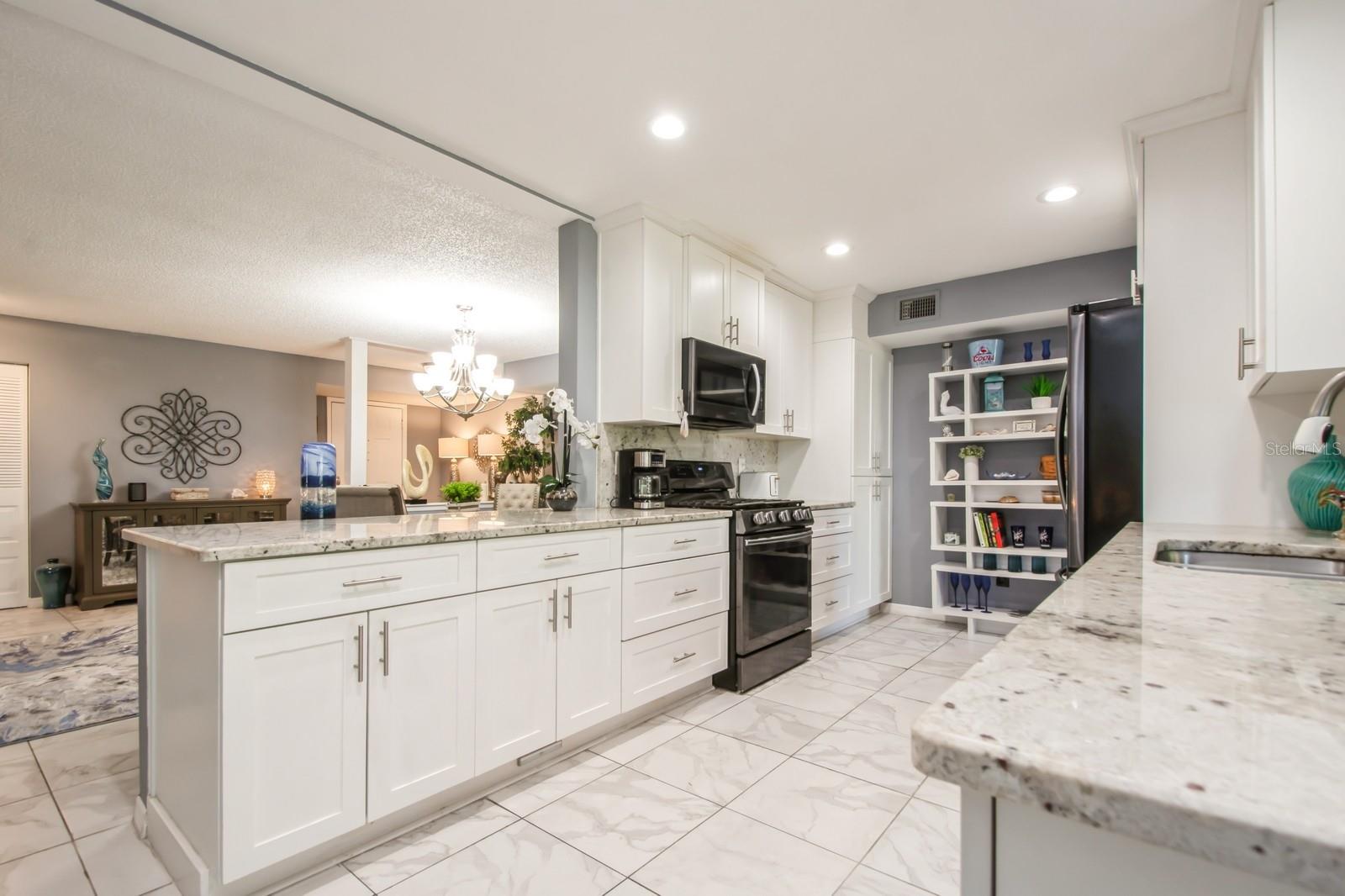 8198 TERRACE GARDEN DR N #411, ST PETERSBURG, FL, 33709