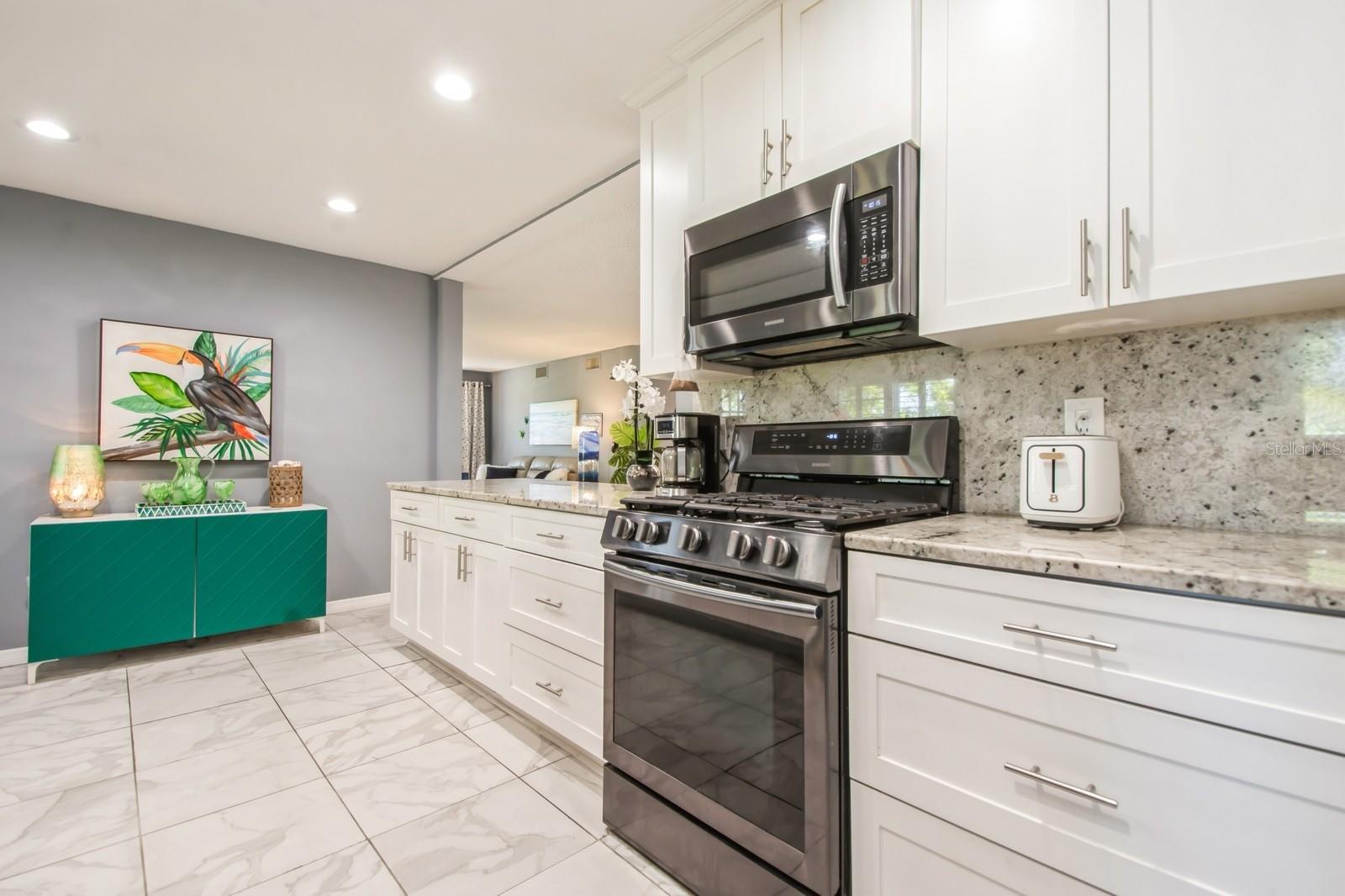 8198 TERRACE GARDEN DR N #411, ST PETERSBURG, FL, 33709