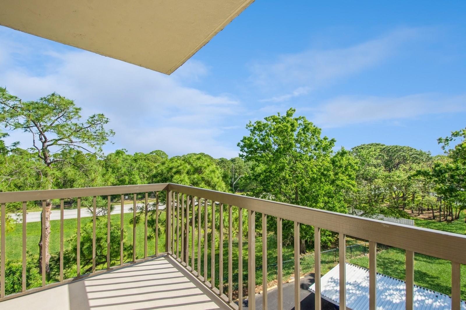 8198 TERRACE GARDEN DR N #411, ST PETERSBURG, FL, 33709