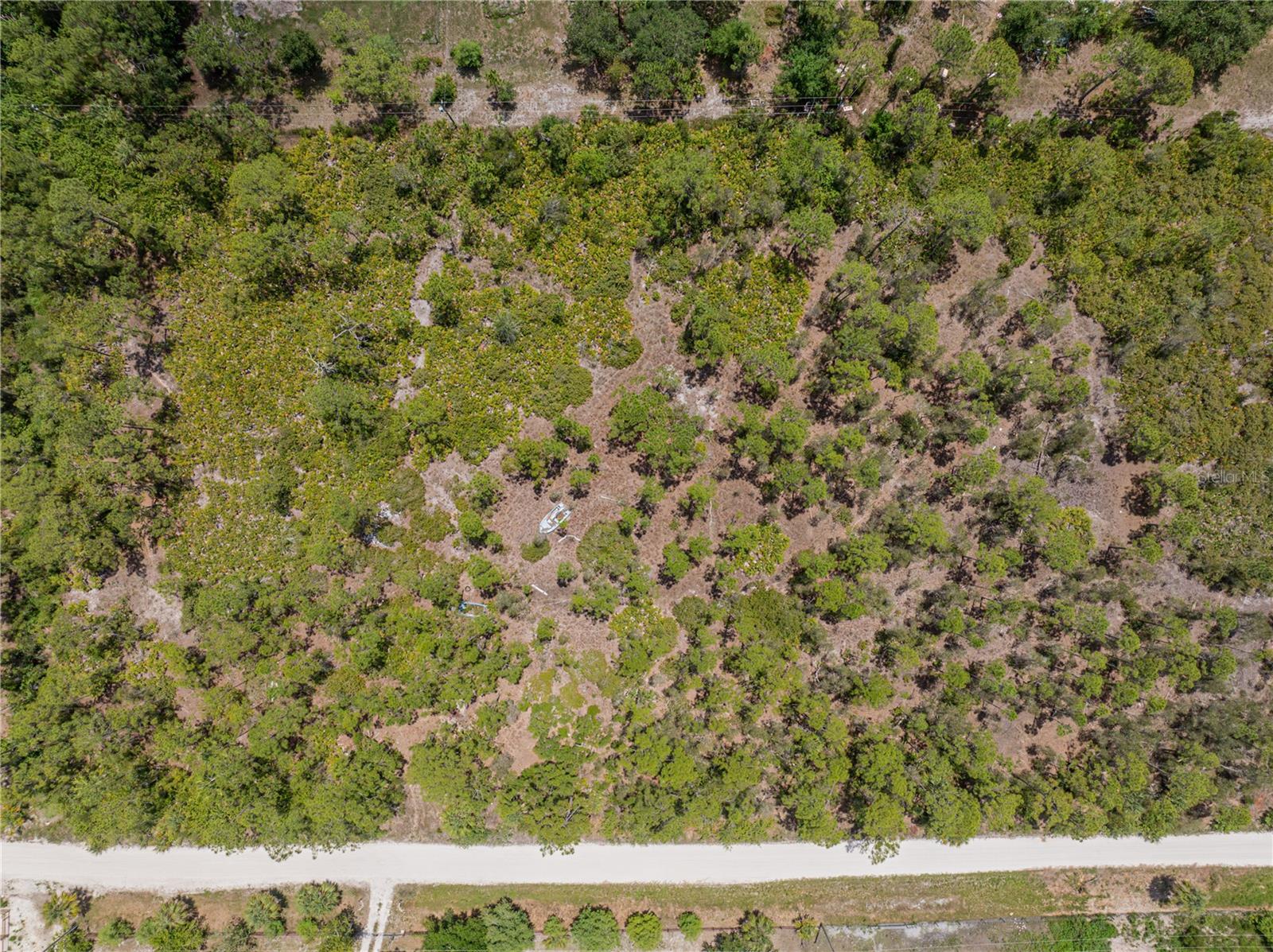 8158 GEWANT BLVD, PUNTA GORDA, FL, 33982