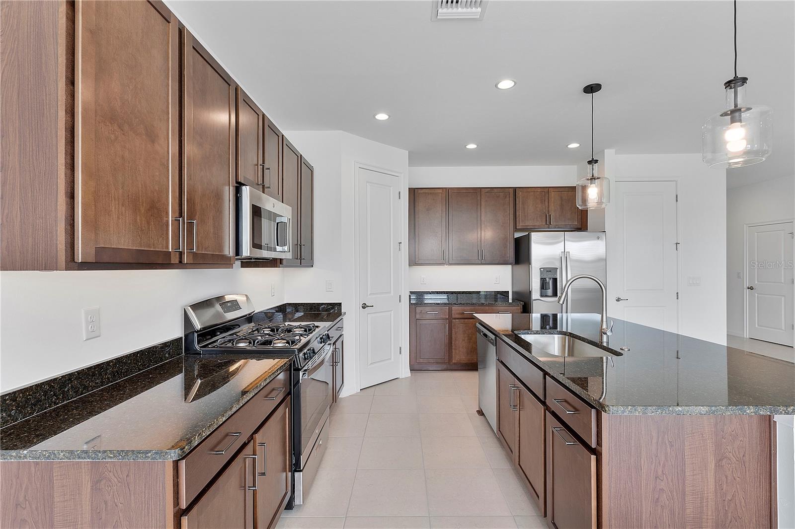 15859 ELINA SKY DR, PUNTA GORDA, FL, 33982