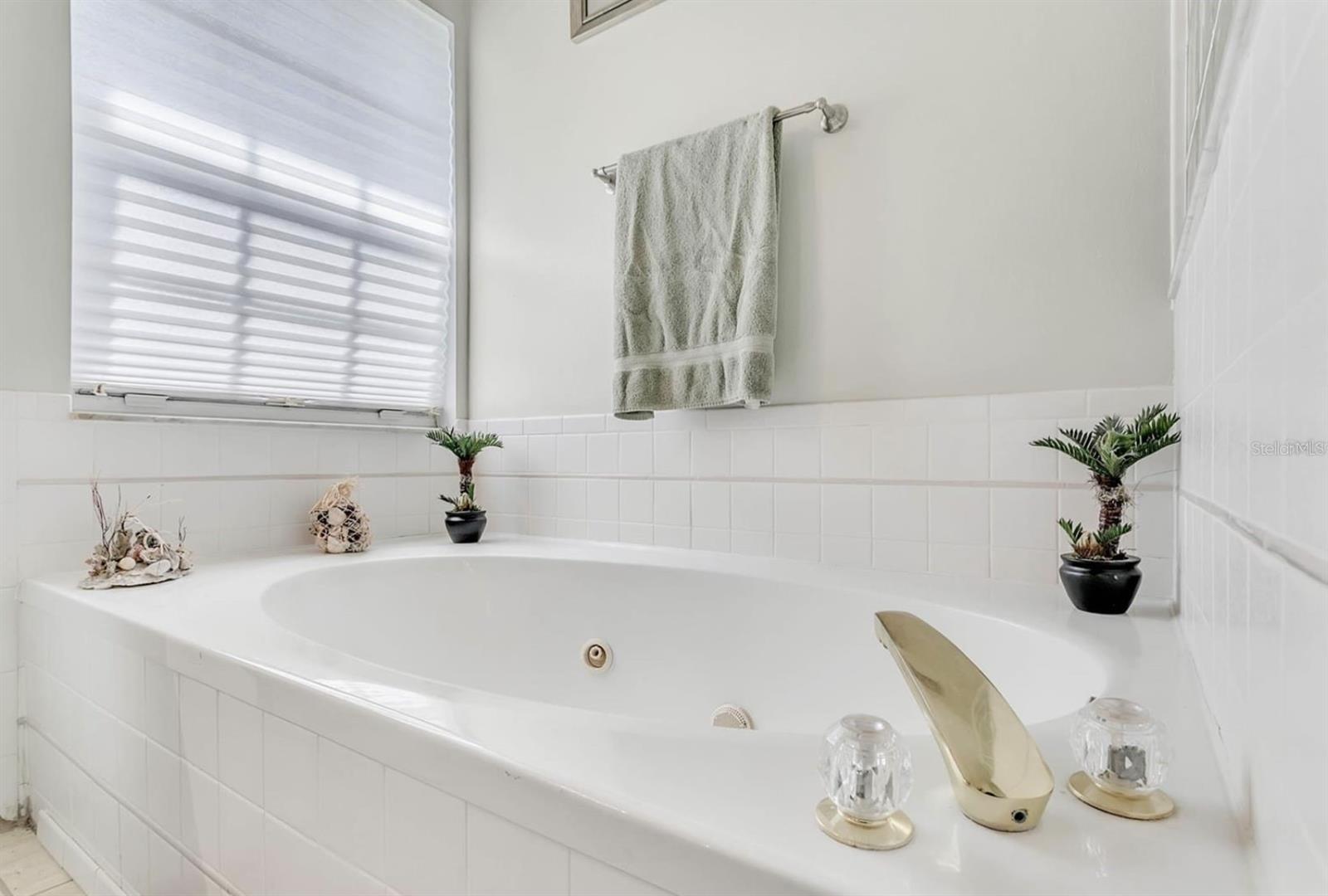 9954 SPRING LAKE DR, CLERMONT, FL, 34711