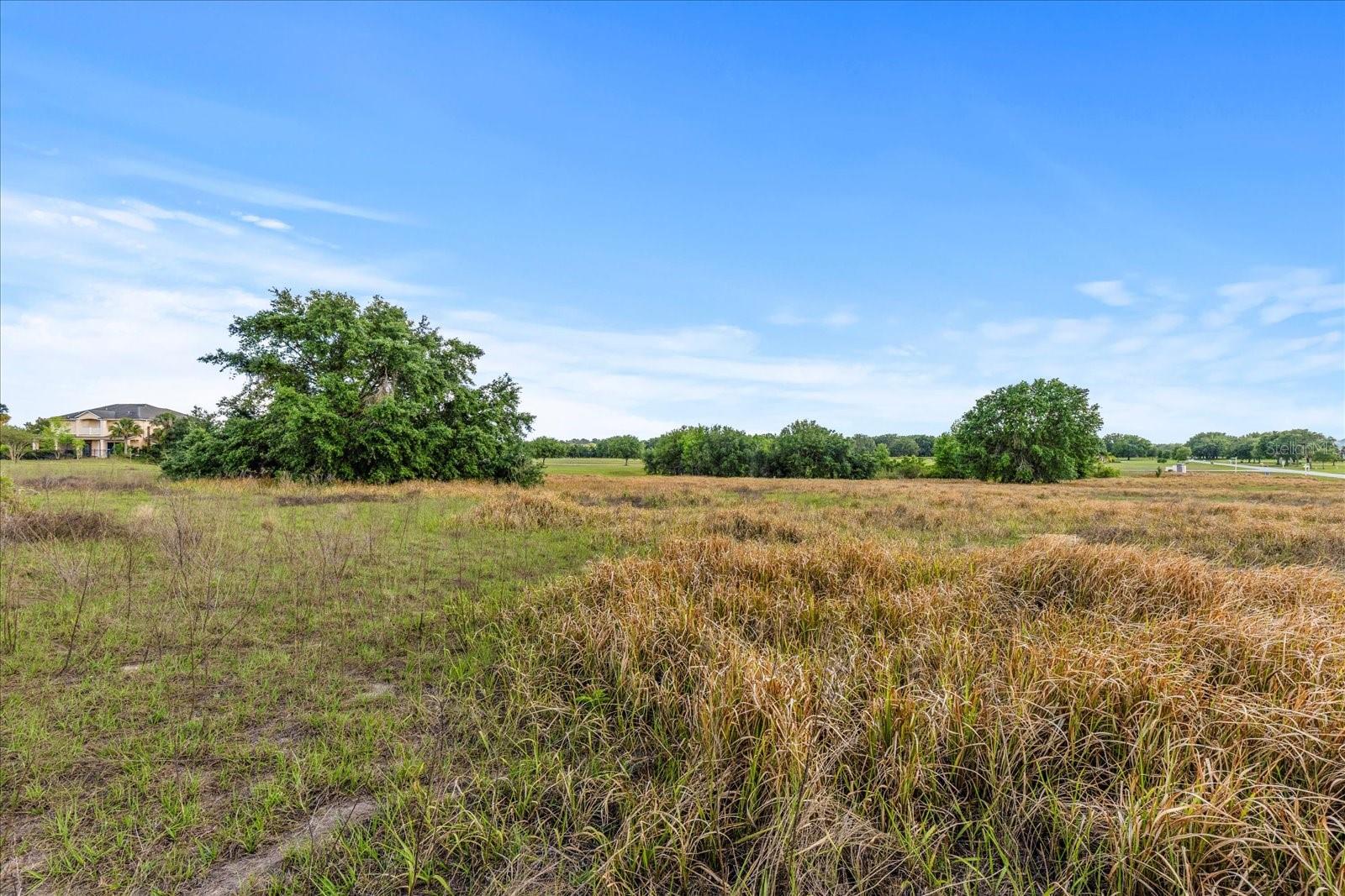 EAGLE RUN (LOT 6), GROVELAND, FL, 34736