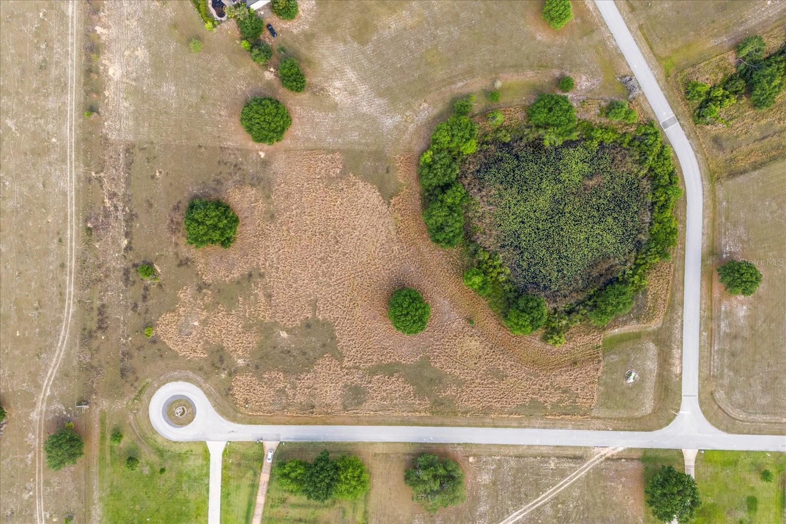 EAGLE RUN (LOT 6), GROVELAND, FL, 34736