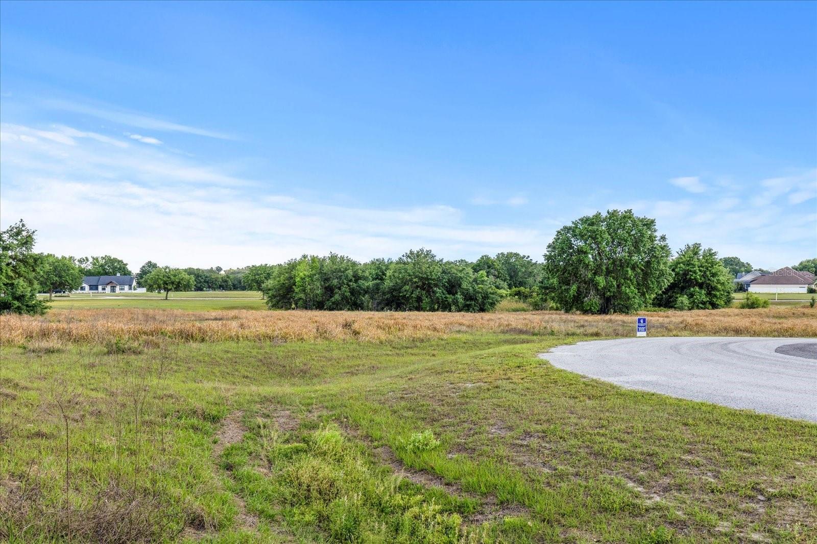 EAGLE RUN (LOT 6), GROVELAND, FL, 34736