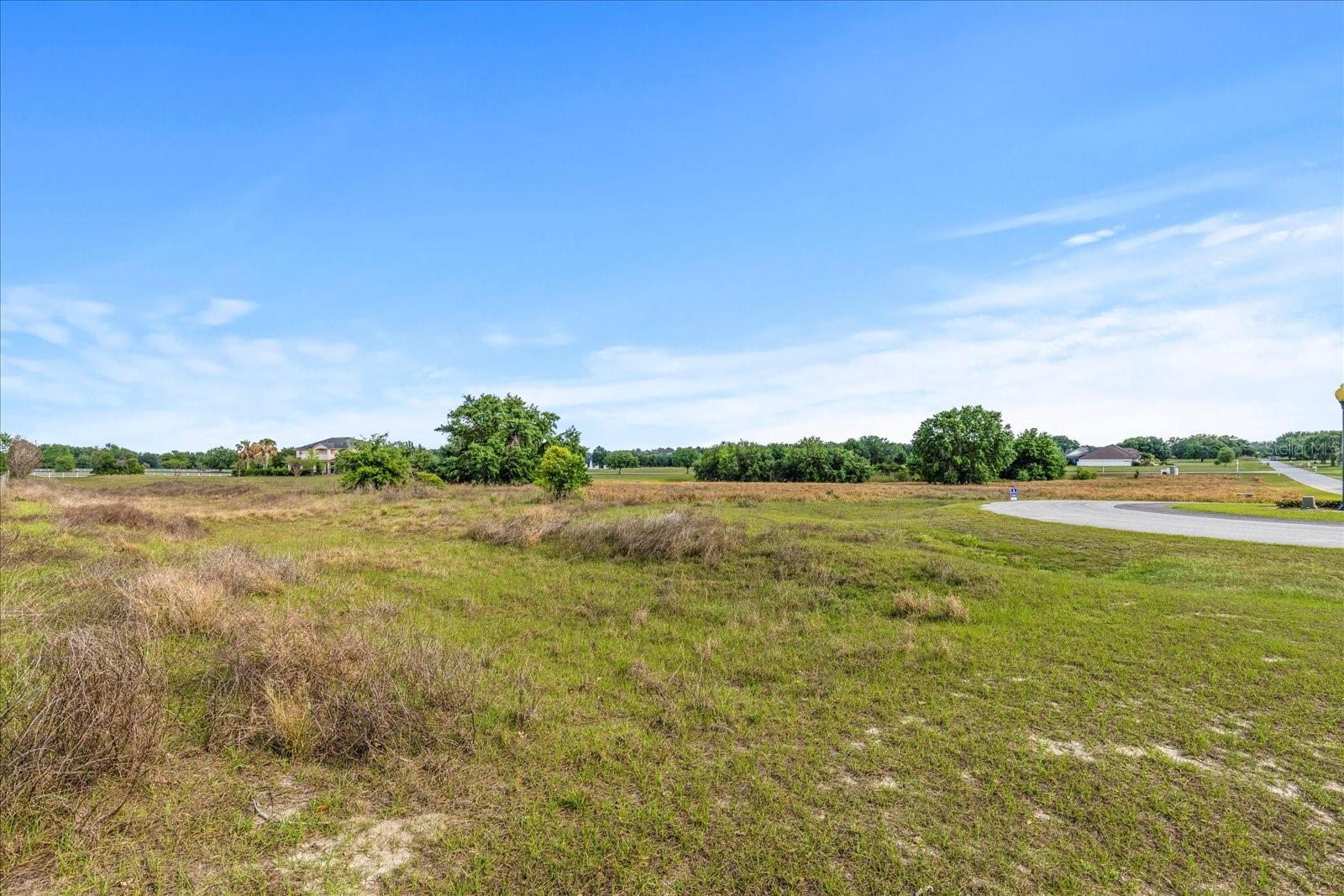 EAGLE RUN (LOT 6), GROVELAND, FL, 34736