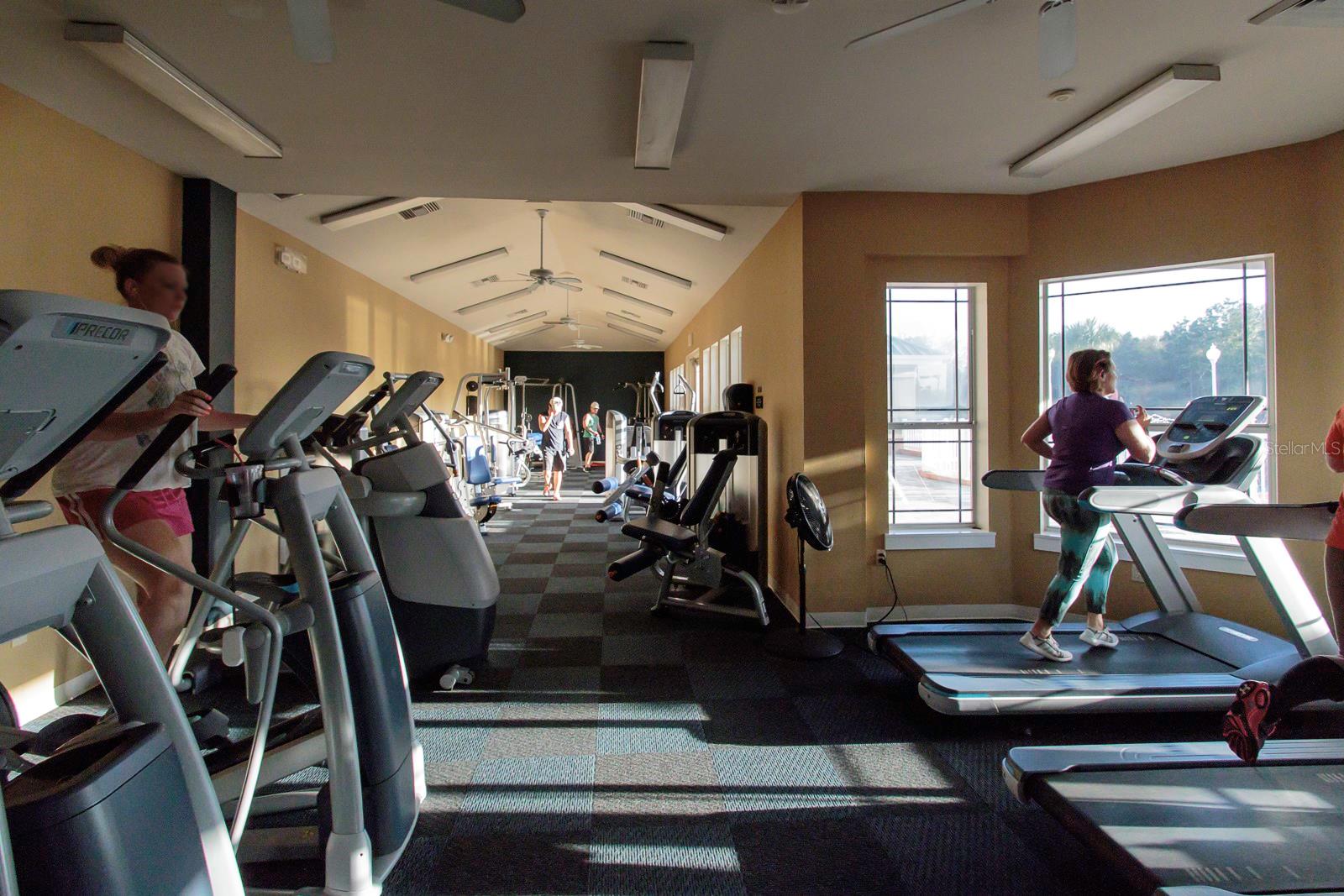 8376 GOLDEN PRAIRIE DR, TAMPA, FL, 33647