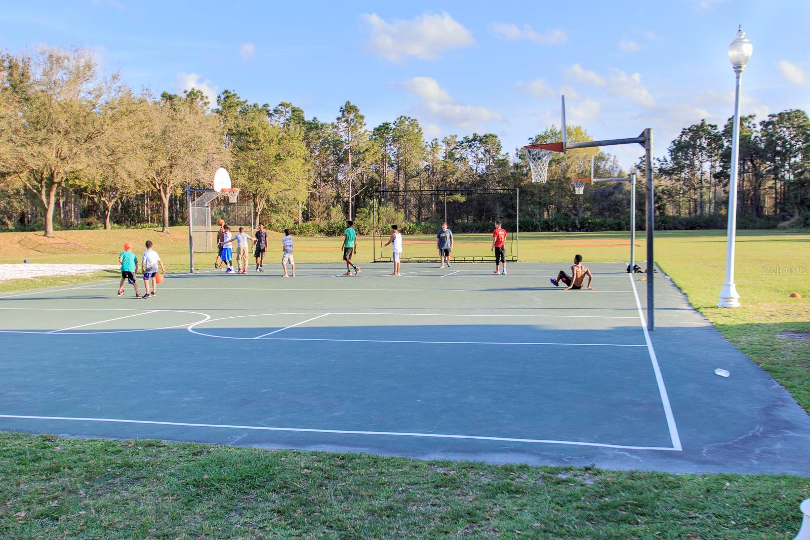 8376 GOLDEN PRAIRIE DR, TAMPA, FL, 33647