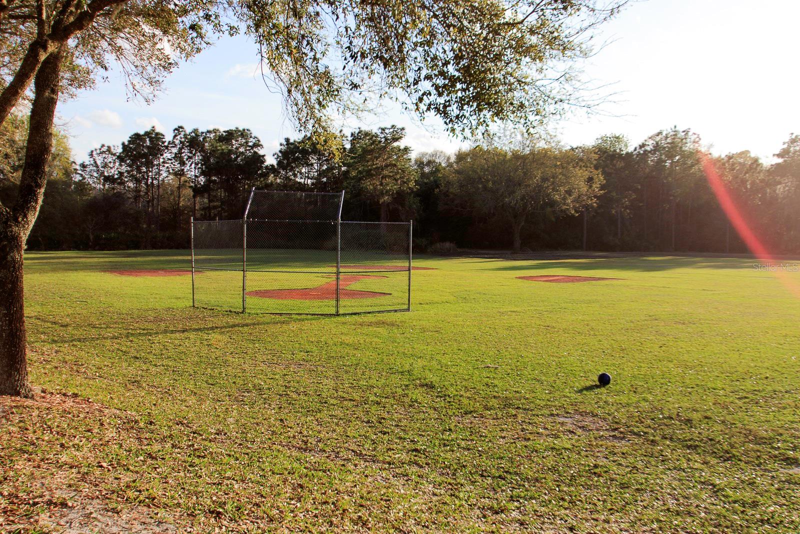 8376 GOLDEN PRAIRIE DR, TAMPA, FL, 33647