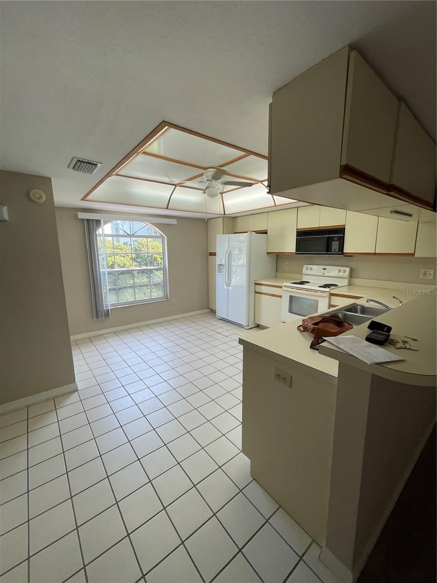 DOLPHIN WATCH TOWNHOMES, TIERRA VERDE, FL, 33715