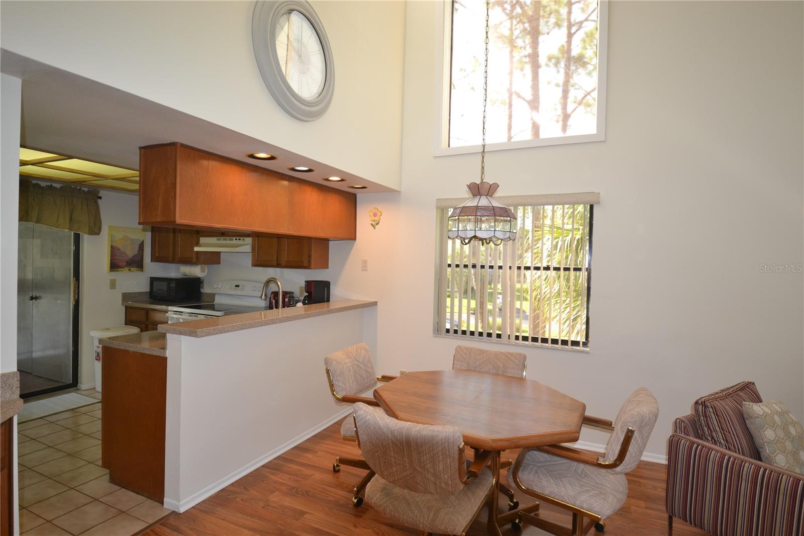 20 WOODLAKE PL, OLDSMAR, FL, 34677