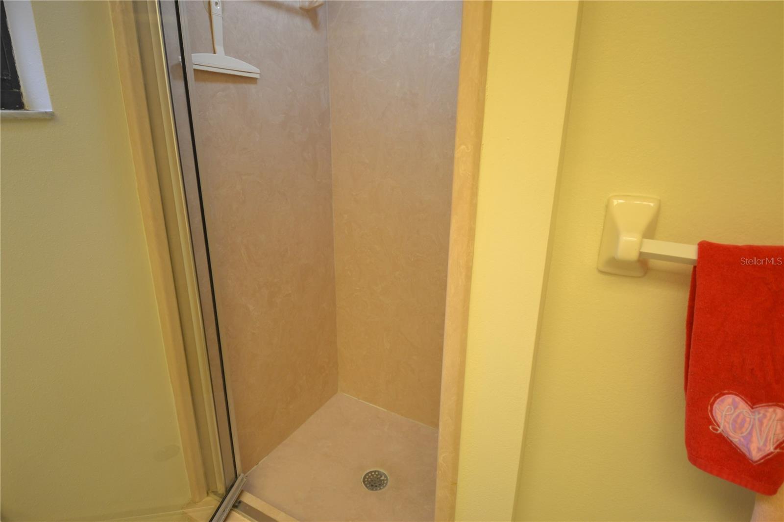 20 WOODLAKE PL, OLDSMAR, FL, 34677