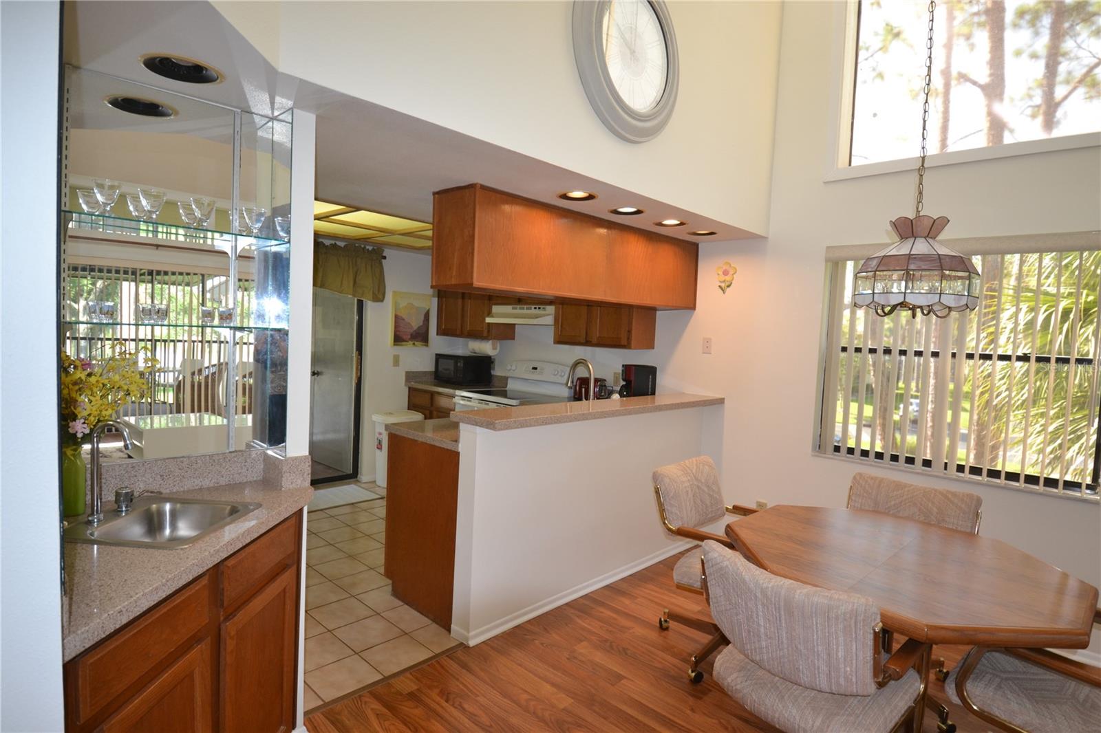 20 WOODLAKE PL, OLDSMAR, FL, 34677