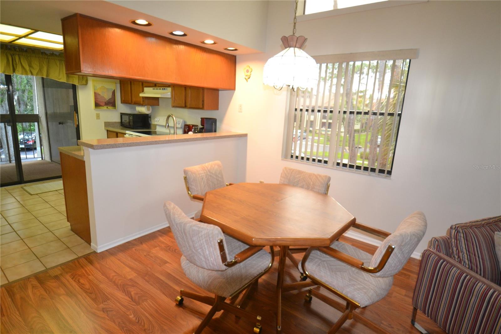 20 WOODLAKE PL, OLDSMAR, FL, 34677