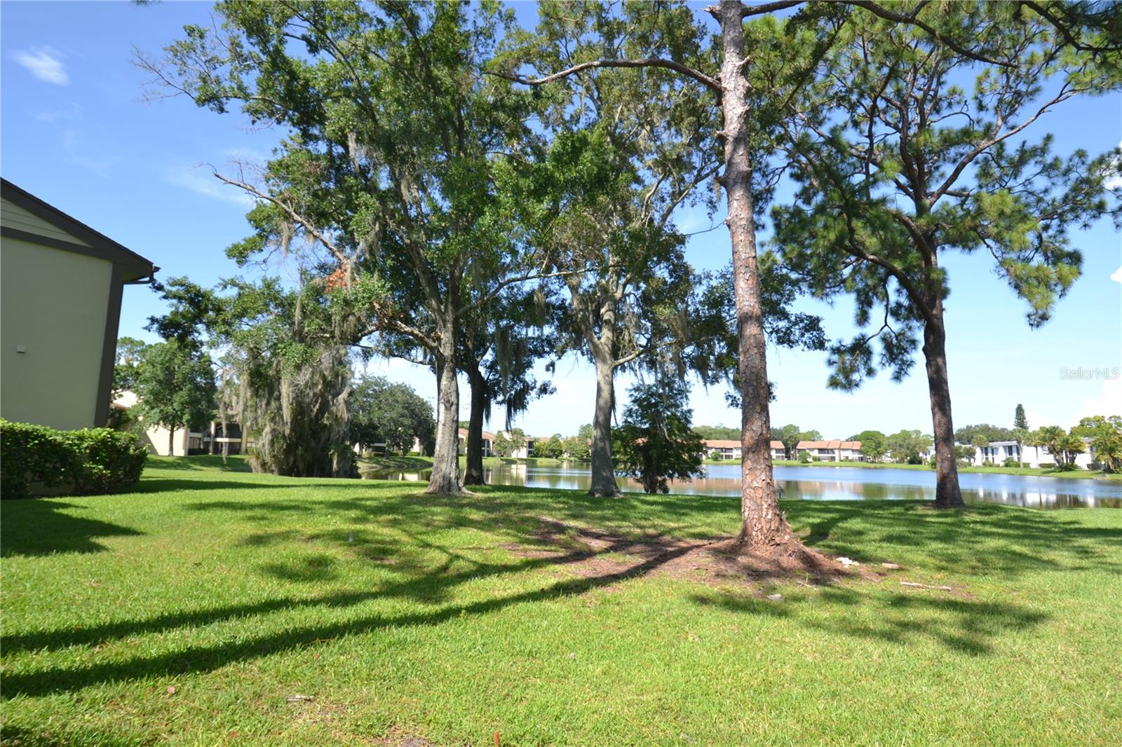 20 WOODLAKE PL, OLDSMAR, FL, 34677