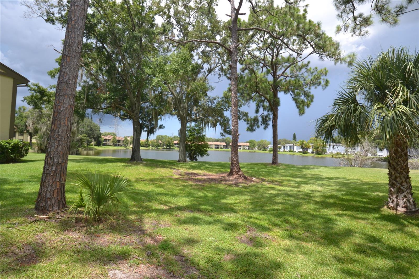 20 WOODLAKE PL, OLDSMAR, FL, 34677