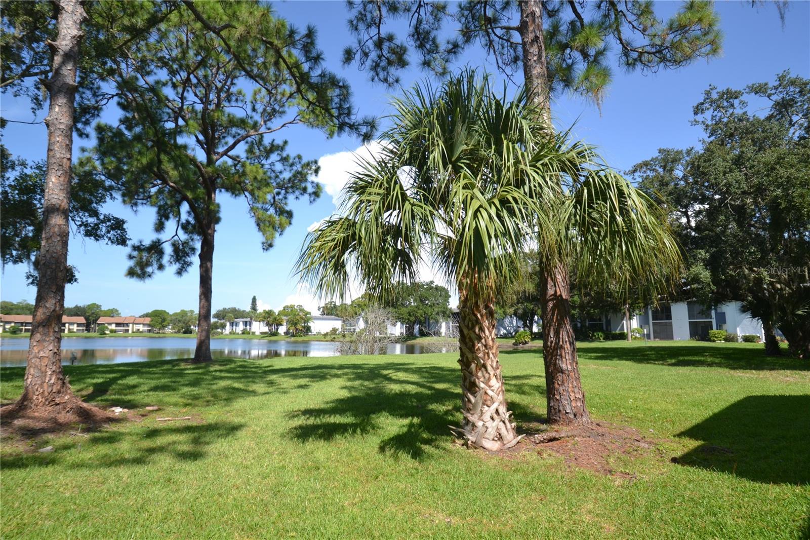 20 WOODLAKE PL, OLDSMAR, FL, 34677