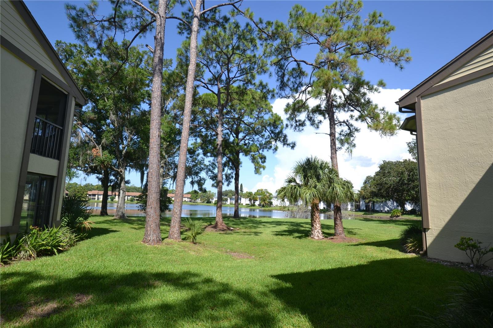 20 WOODLAKE PL, OLDSMAR, FL, 34677