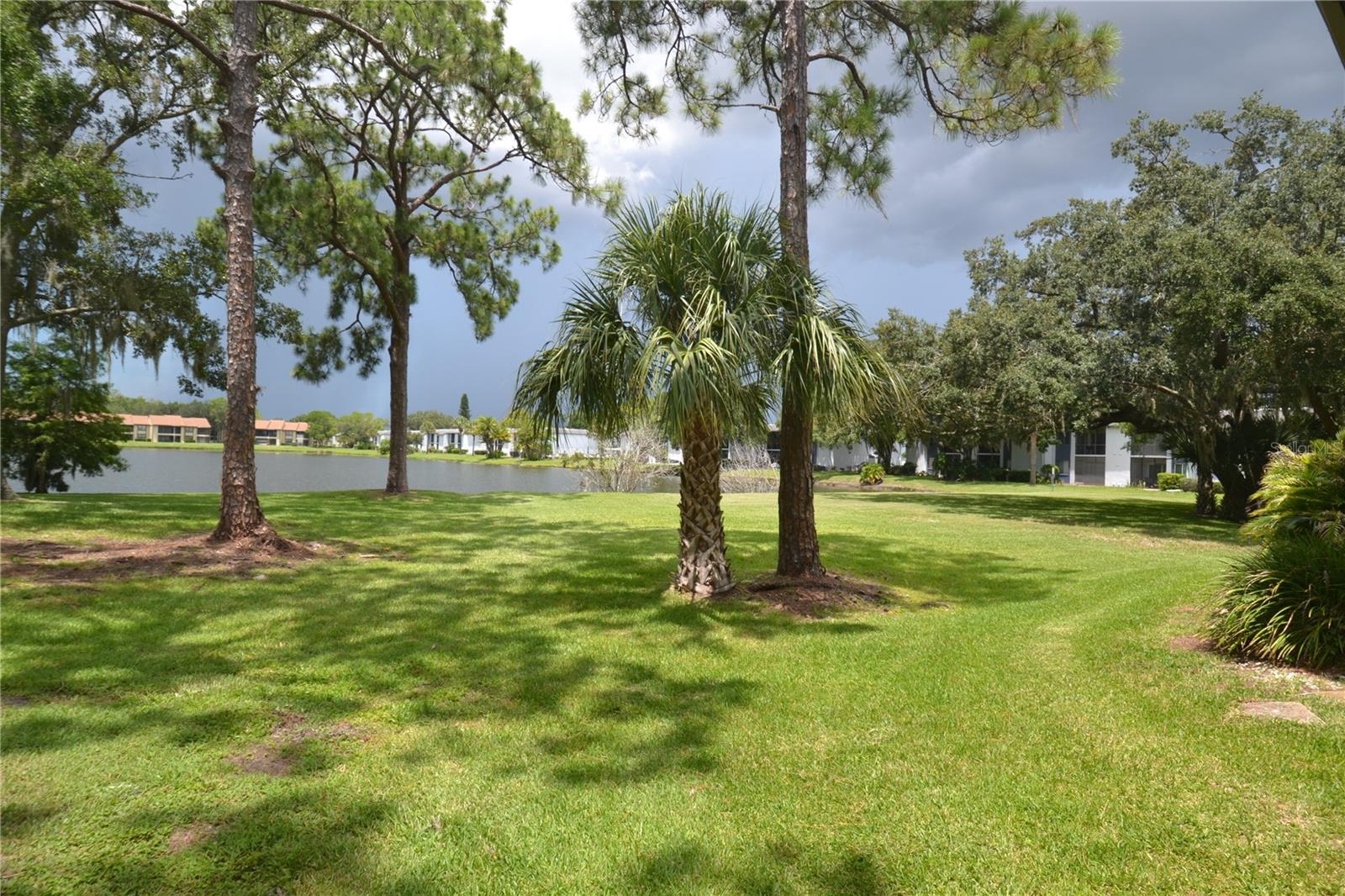 20 WOODLAKE PL, OLDSMAR, FL, 34677