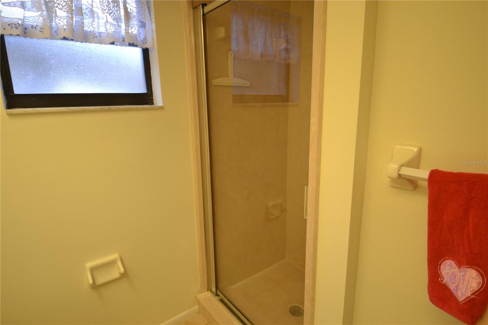 20 WOODLAKE PL, OLDSMAR, FL, 34677