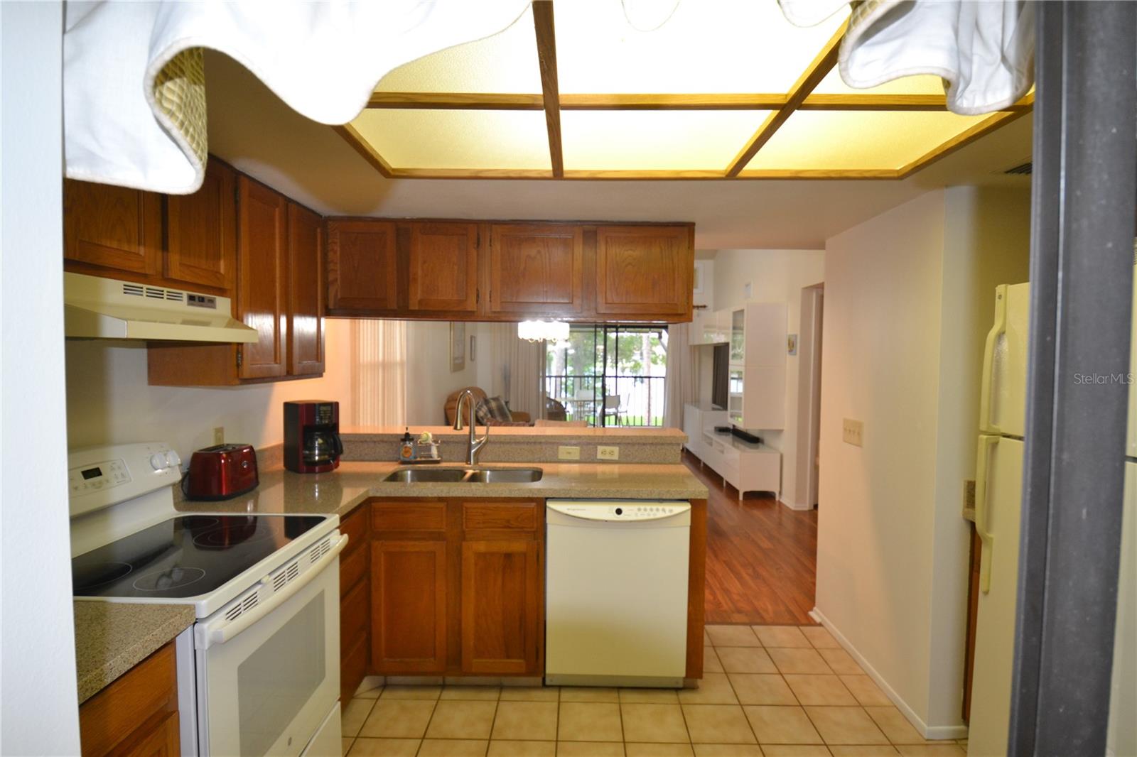 20 WOODLAKE PL, OLDSMAR, FL, 34677