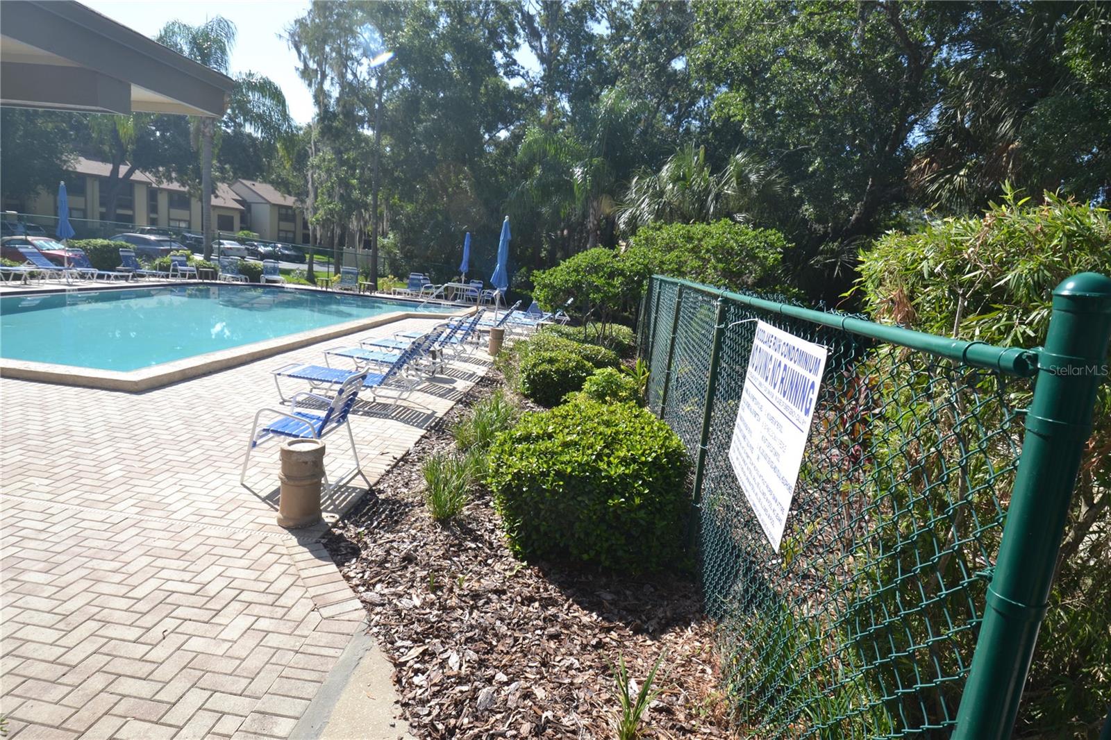 20 WOODLAKE PL, OLDSMAR, FL, 34677