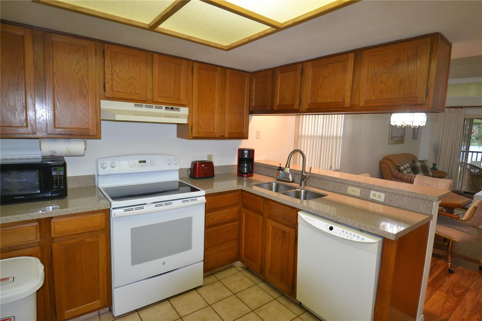 20 WOODLAKE PL, OLDSMAR, FL, 34677