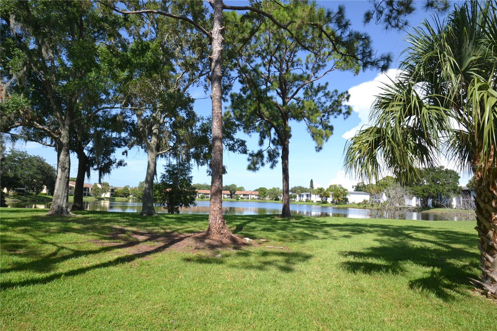 20 WOODLAKE PL, OLDSMAR, FL, 34677