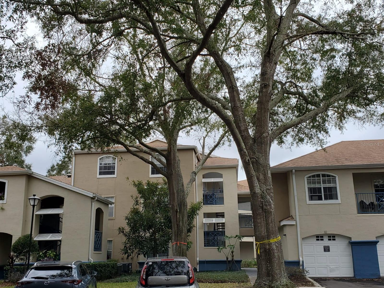 7220 WESTPOINTE BLVD #1421, ORLANDO, FL, 32835