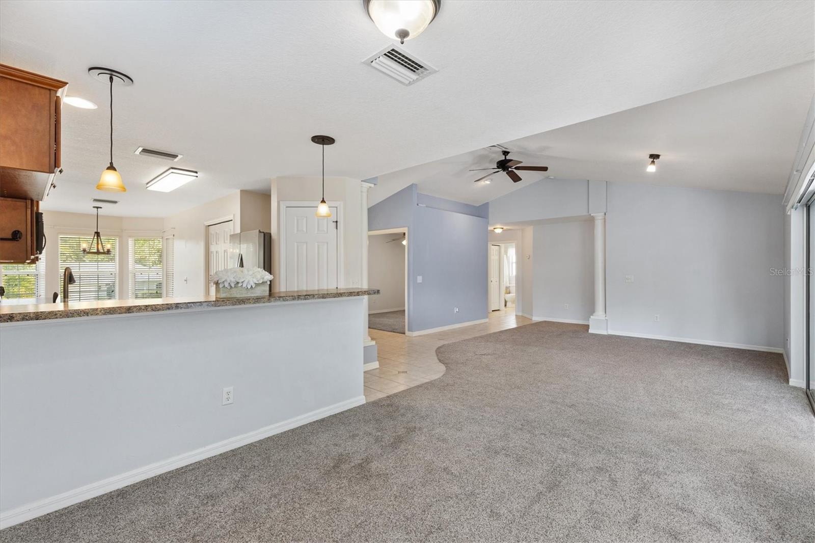 210 FOREST PARK LN, LADY LAKE, FL, 32159